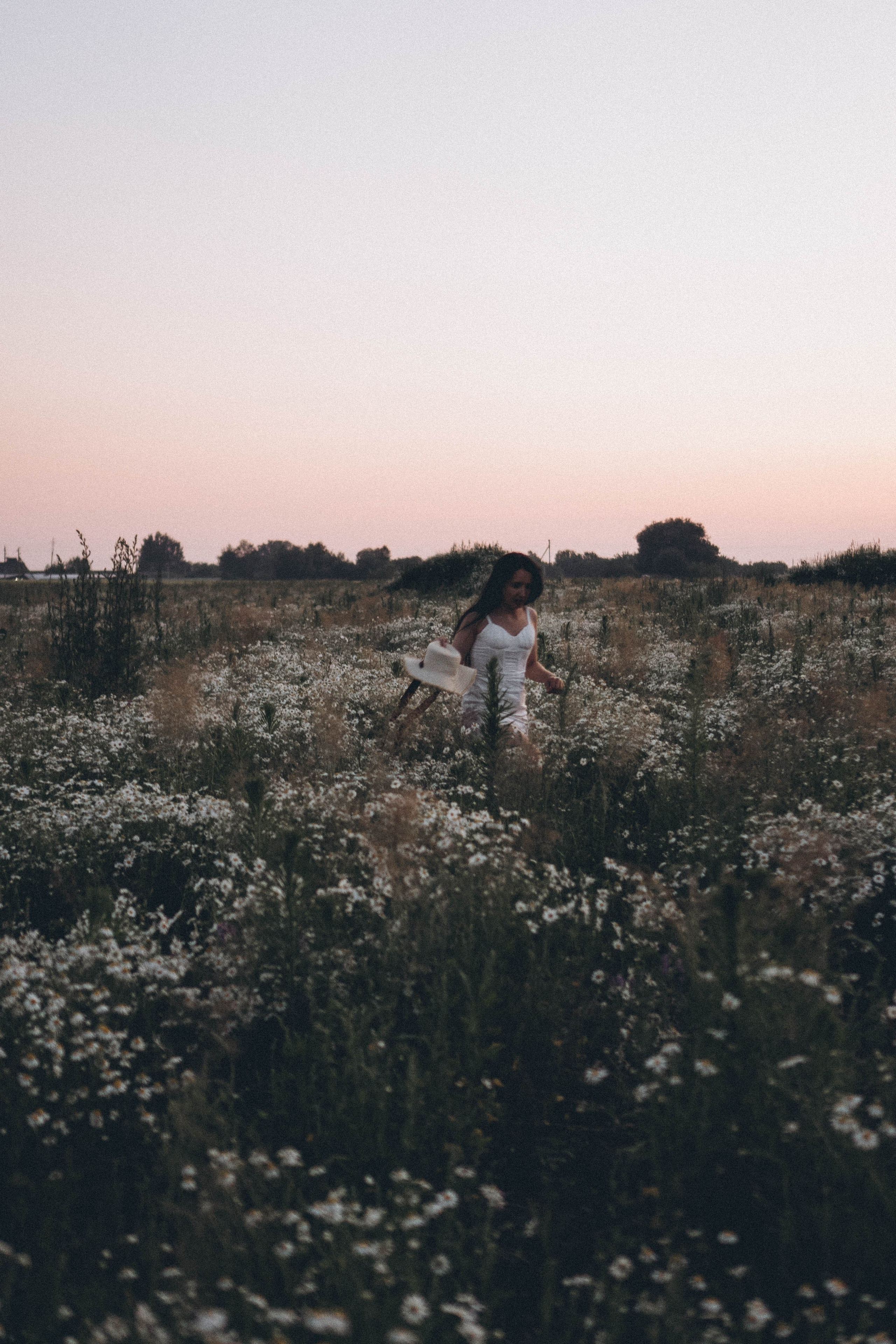 Ромашковое поле. Профессиональный фотограф, Санкт-Петербург — Виктория Богомолова