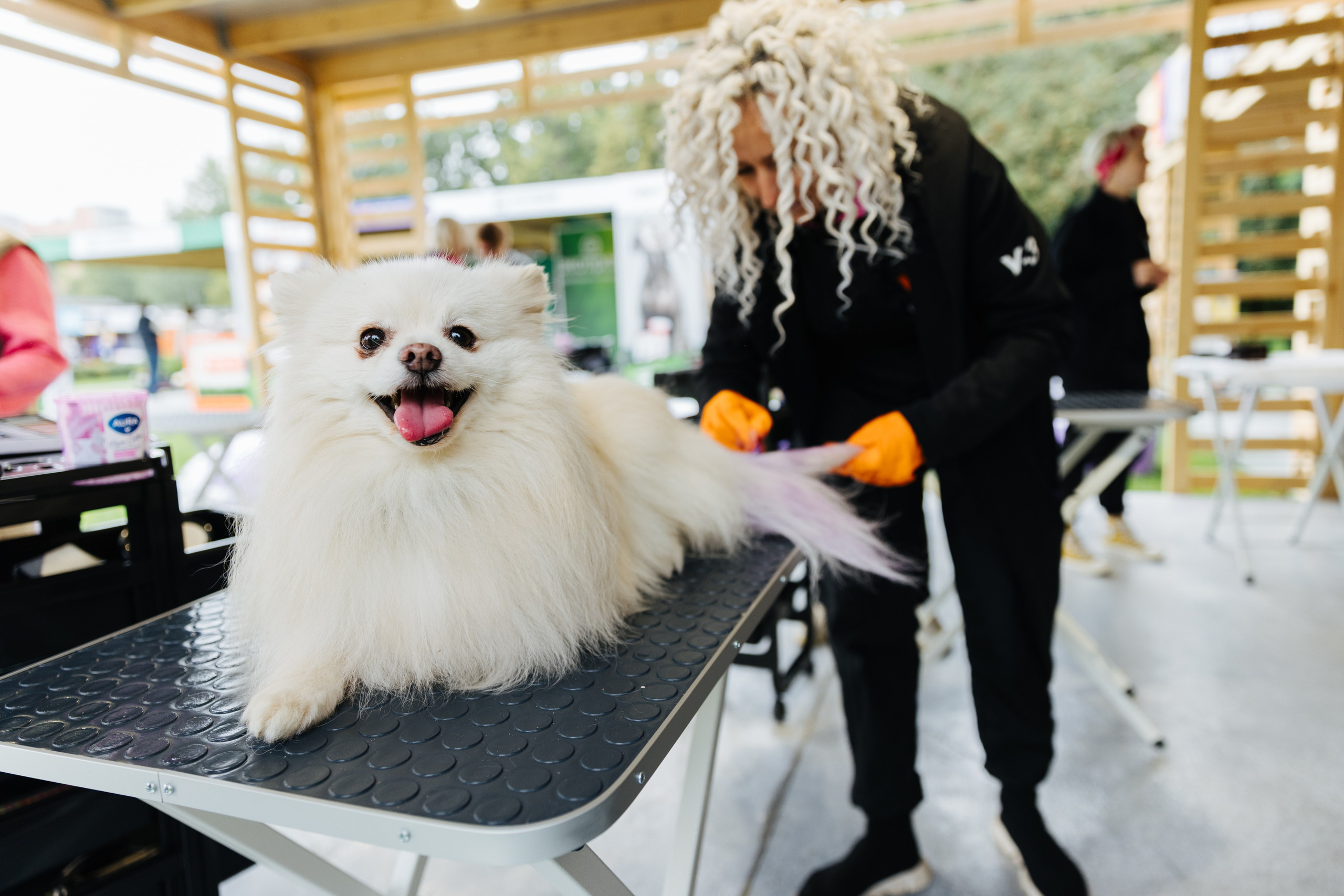 Хвостатый репортаж. Аксана Лисовская фотограф в Москве. Фотографии с характером