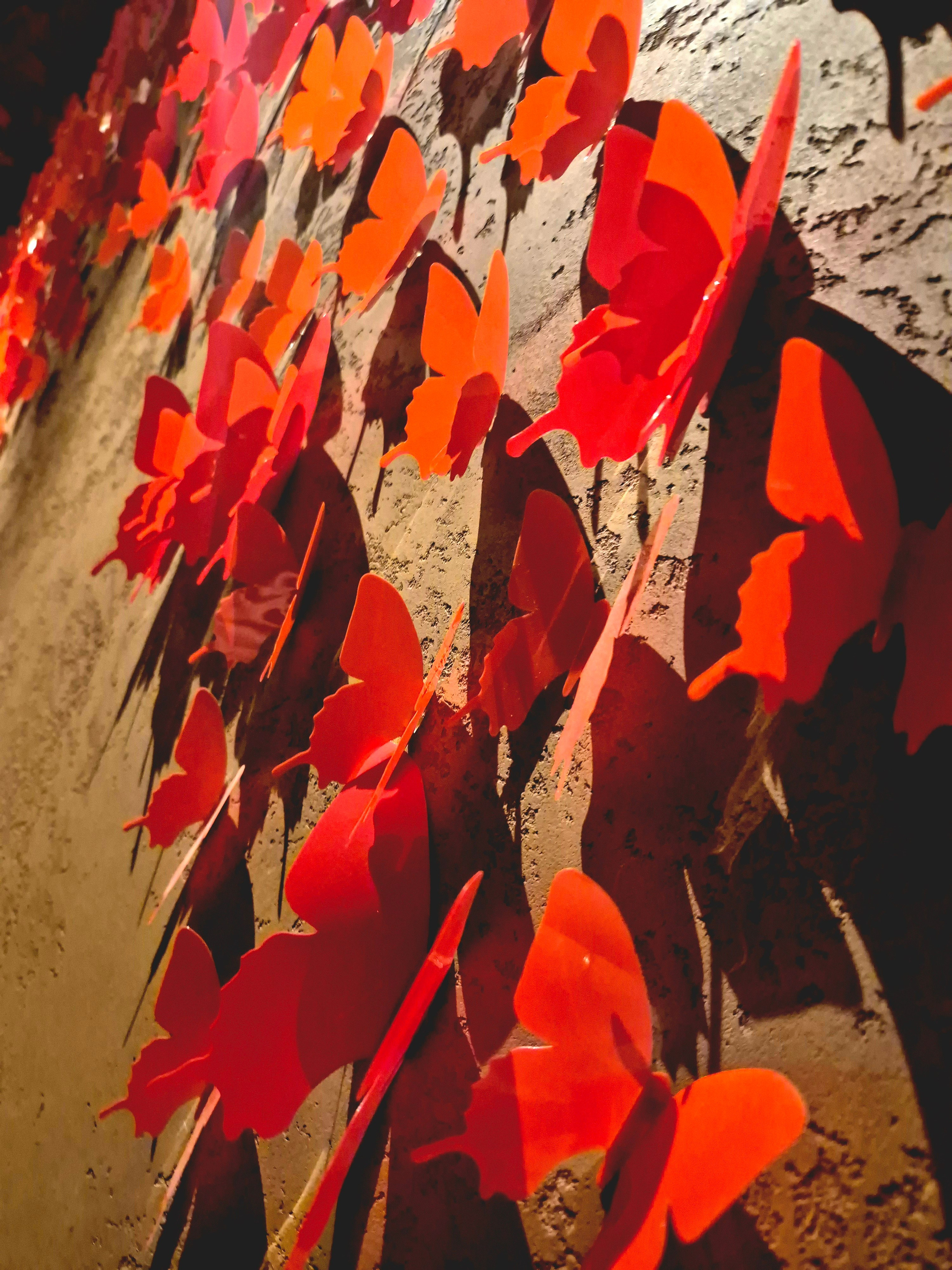 Бабочки в животе... ну или на стене... - это ЛЮБОВЬ :)