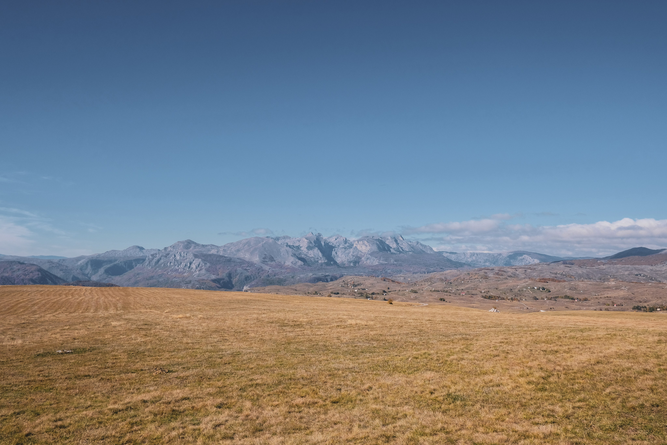 Черногория. Zenizza