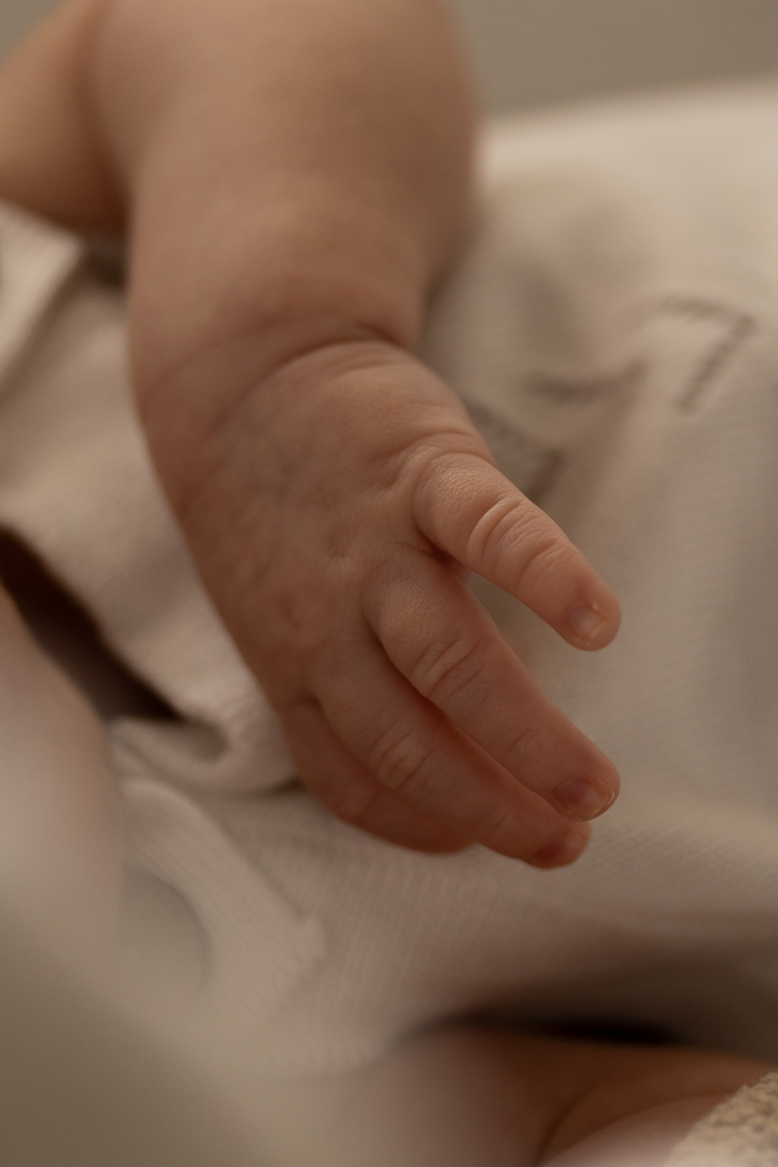 Саша, Рома и Костя. Свадебный фотограф | Москва