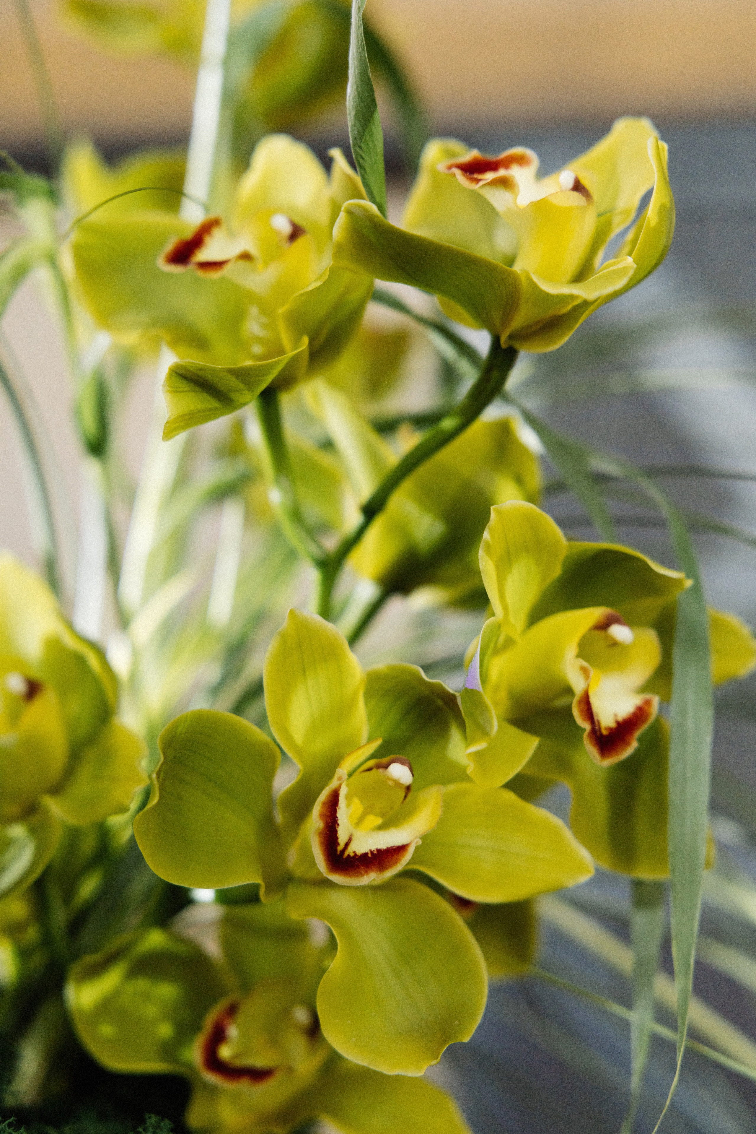 @avtors.agency. Свадебный и репортажный фотограф в Москве Владимир Сергеев | Naysaikolo