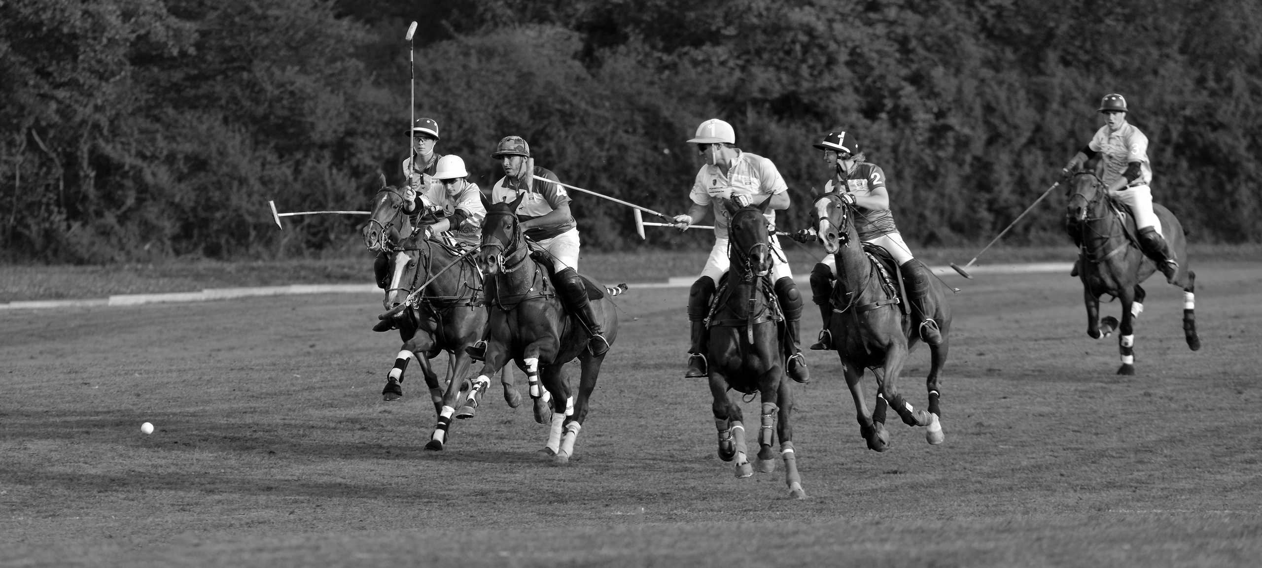 Polo art photos. Art photos of horses — ARTUR BABOEV | Photographer