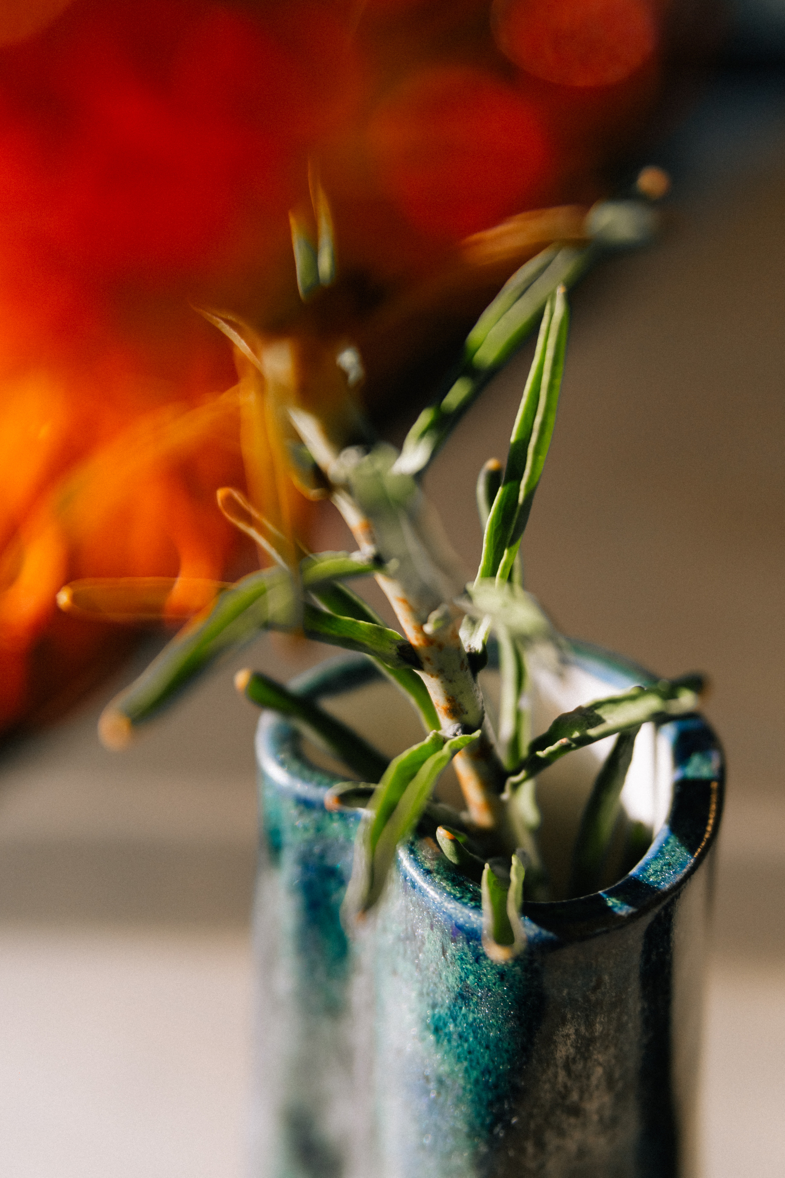 Керамика | Света. Фотограф Москва • Уля Бузина💗