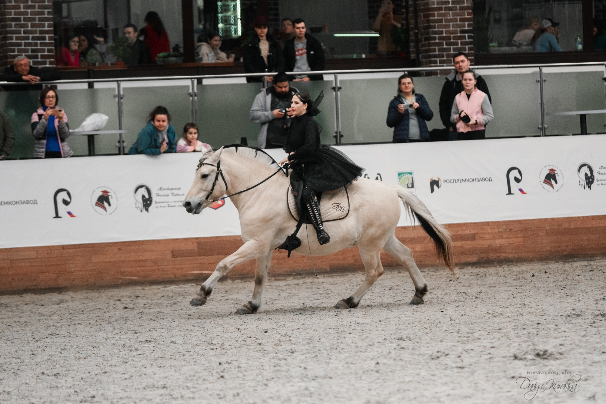 8-я международная выставка Конная Россия. Конный фотограф Куракина Дарья • Фотосессии с лошадьми