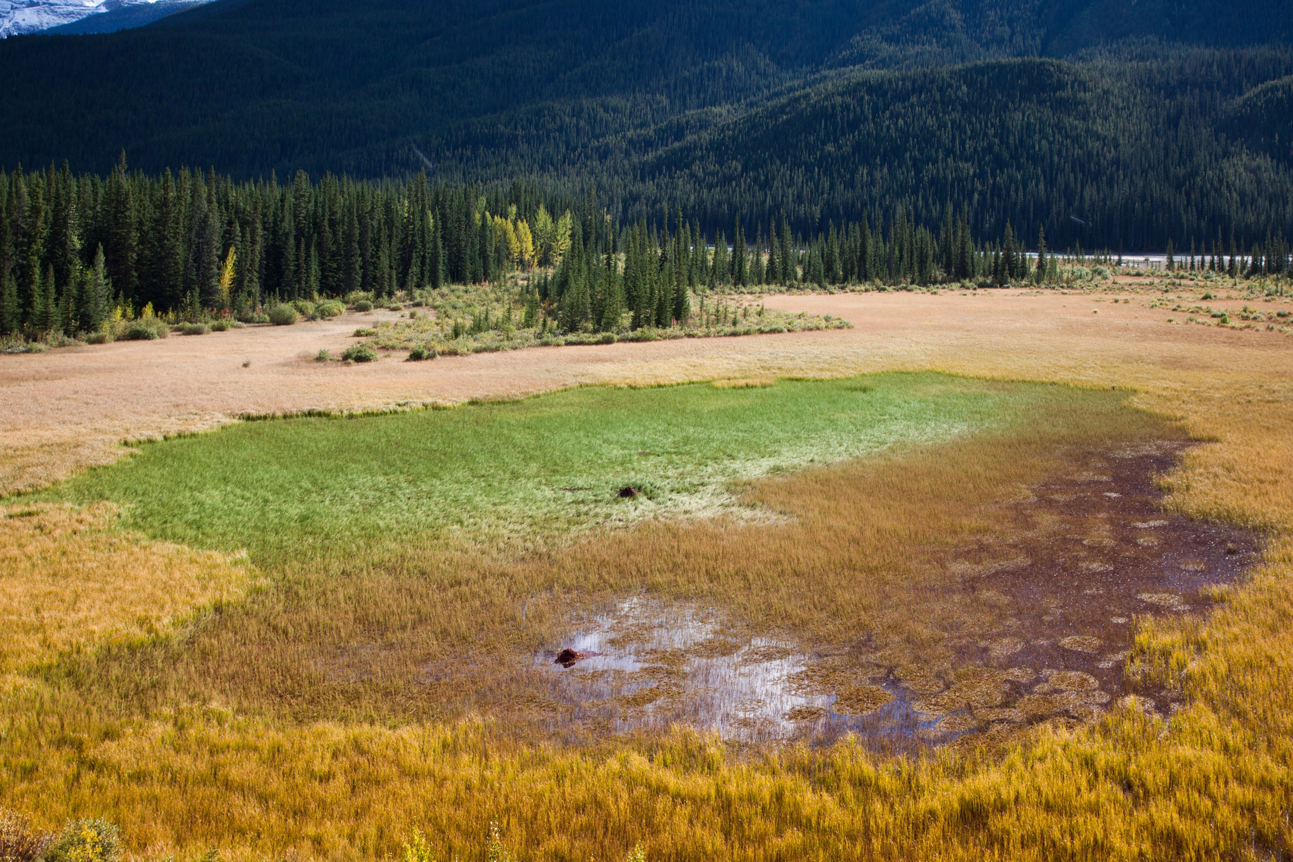 Канада. Фотограф Владимир Медведев