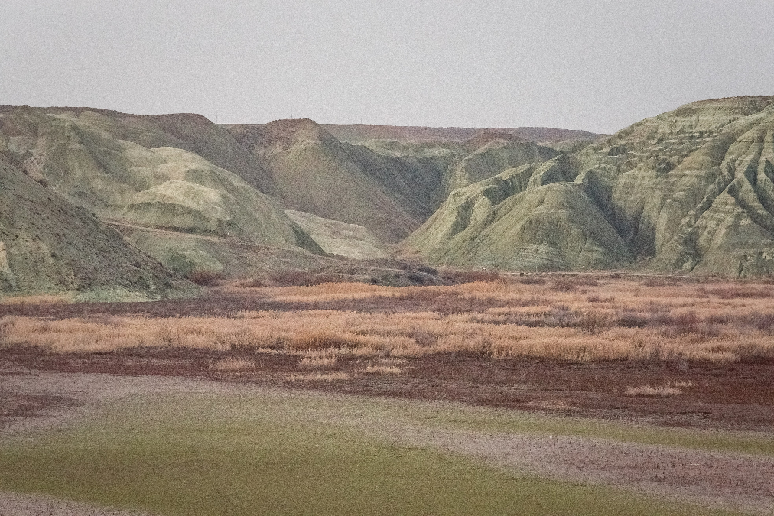 Турция, Птичий заповедник Наллихан. Юля Дэй • Фотограф, Санкт-Петербург