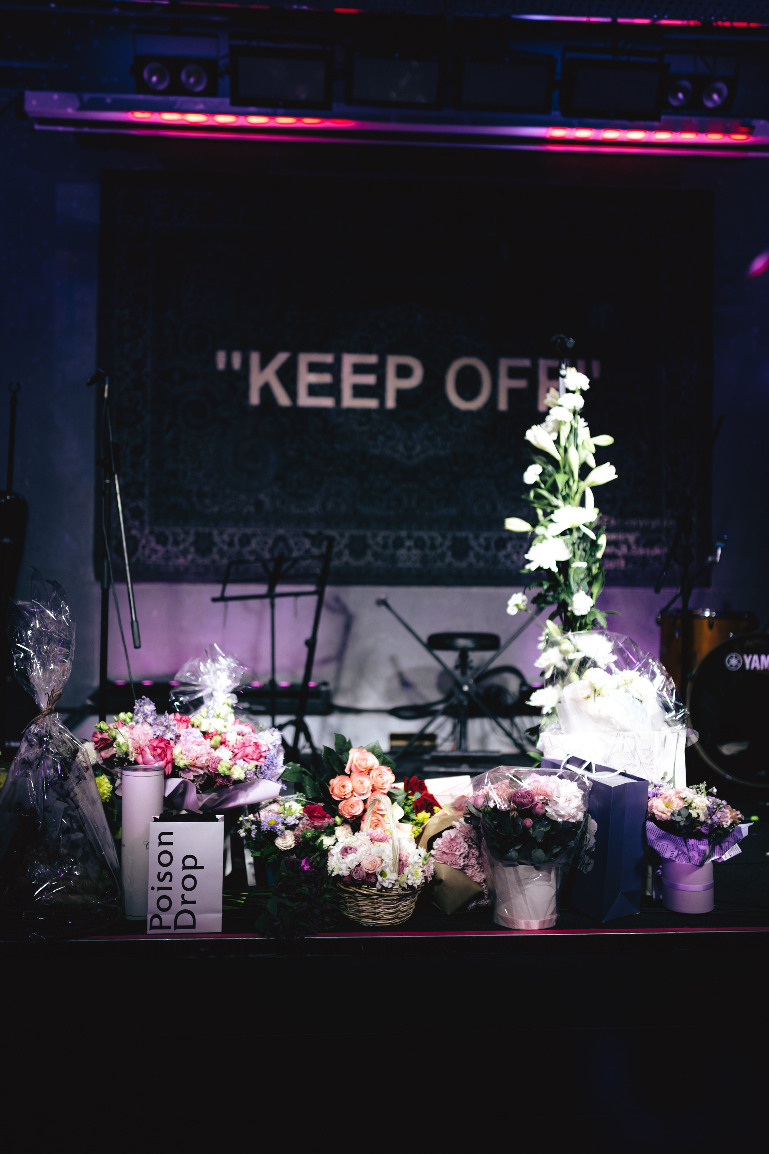 Репортаж. Фотограф Анастасия Козловская aadazzling