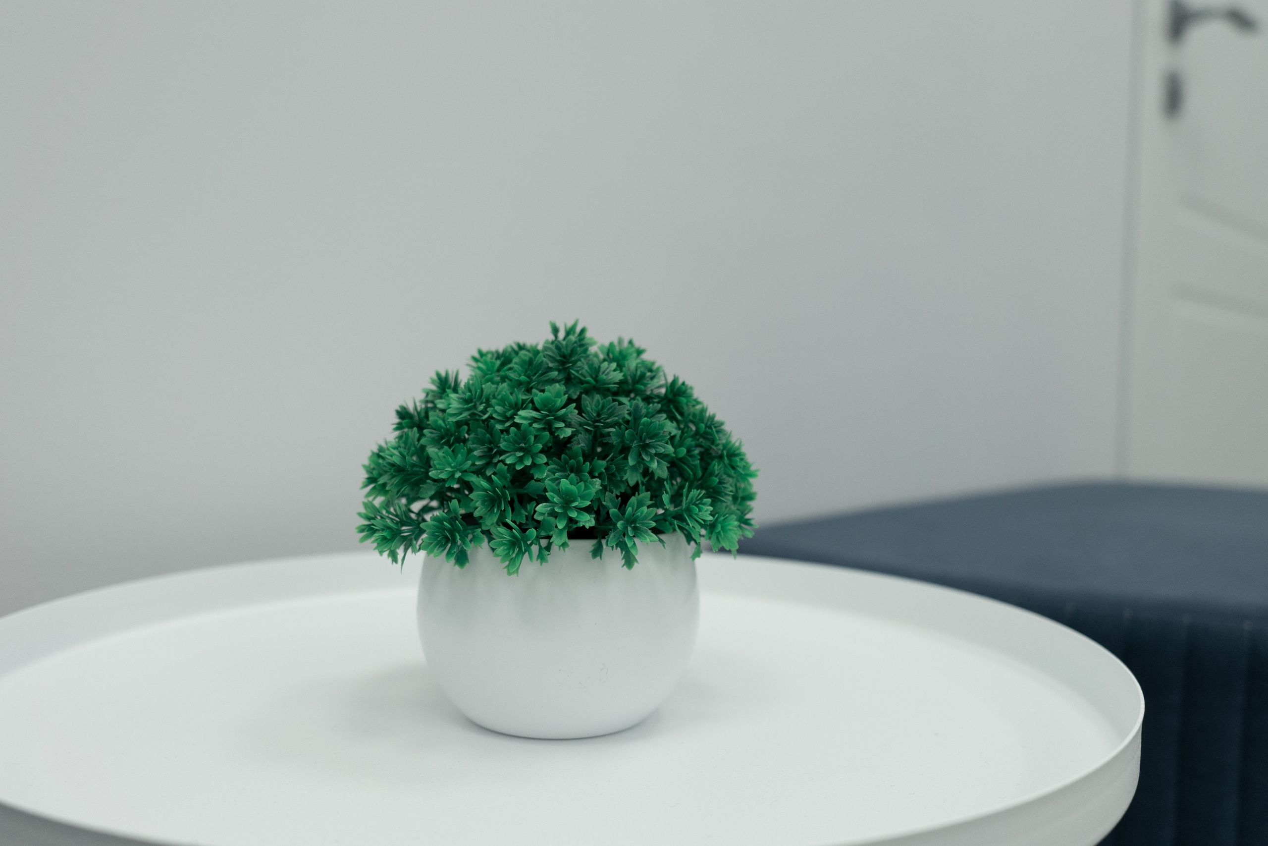 Фотограф Тюмень Александр Шалагин