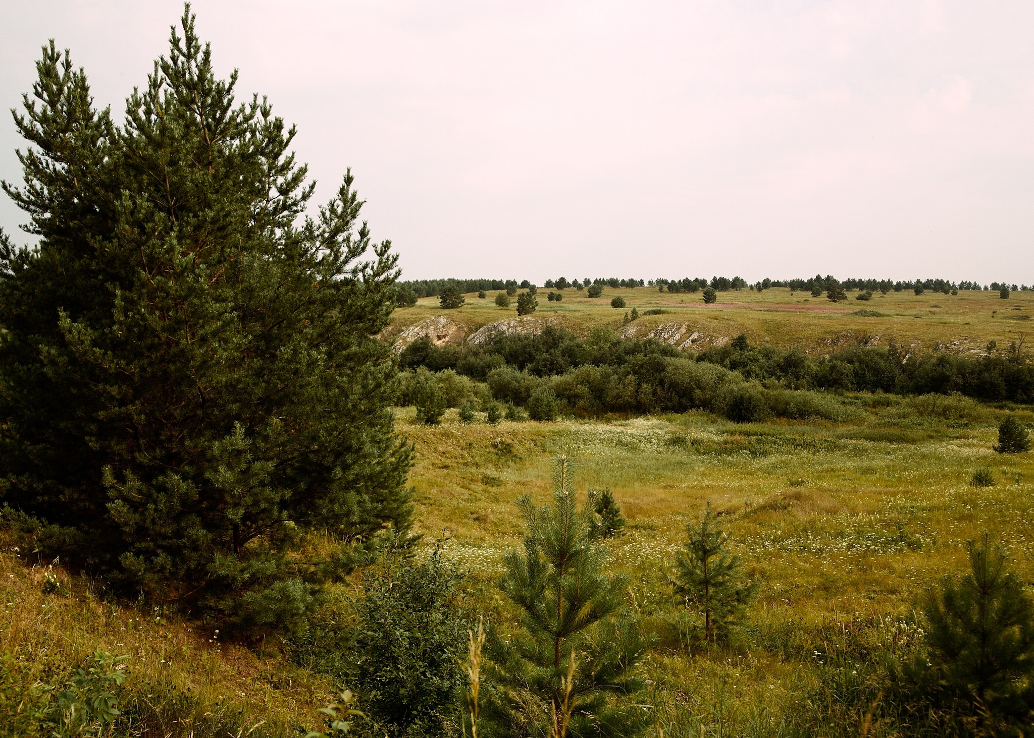 РЕЖ. Репортажный фотограф г. Екатеринбург Алексей Обоскалов