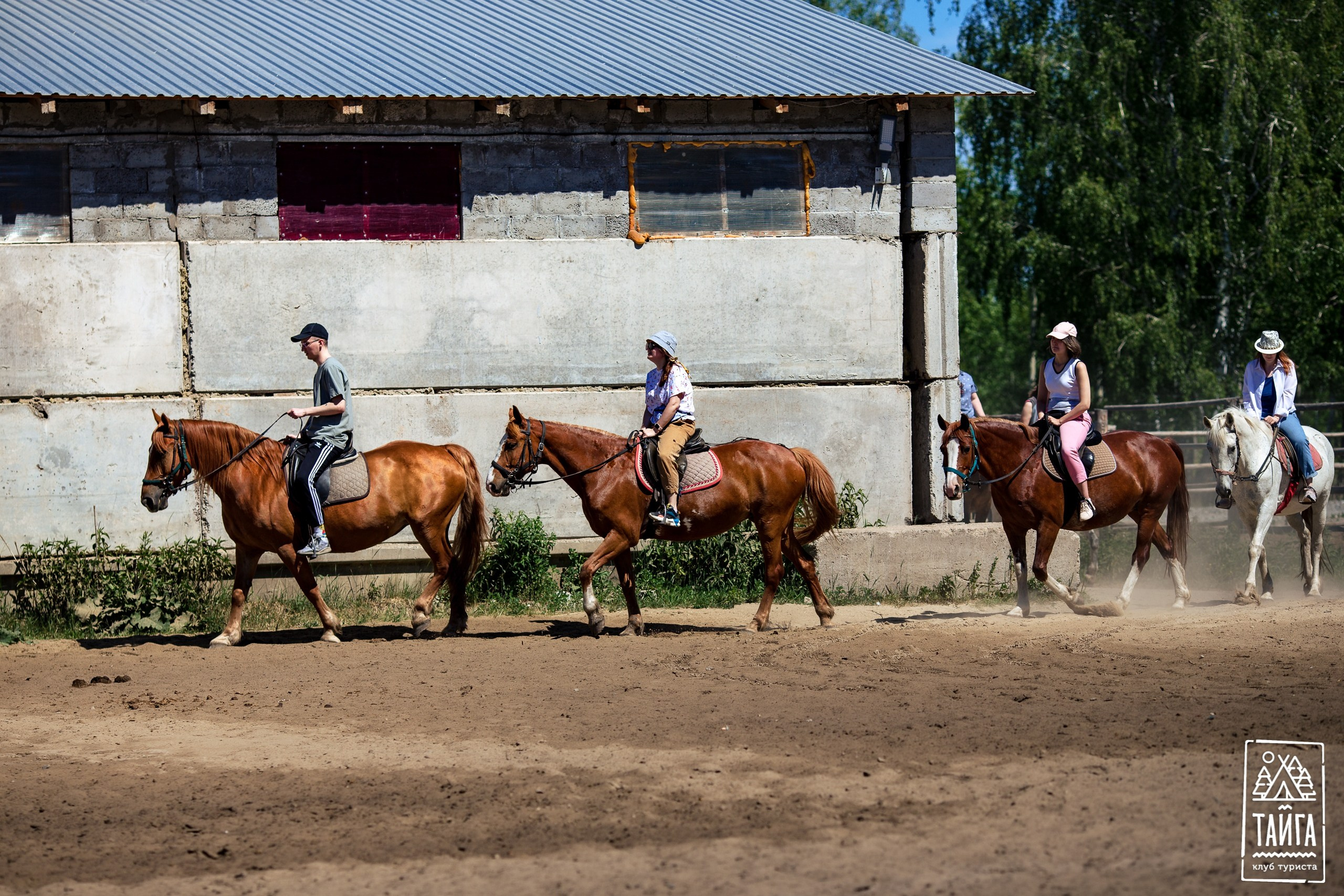 Конная прогулка. Репортажный фотограф г. Екатеринбург Алексей Обоскалов
