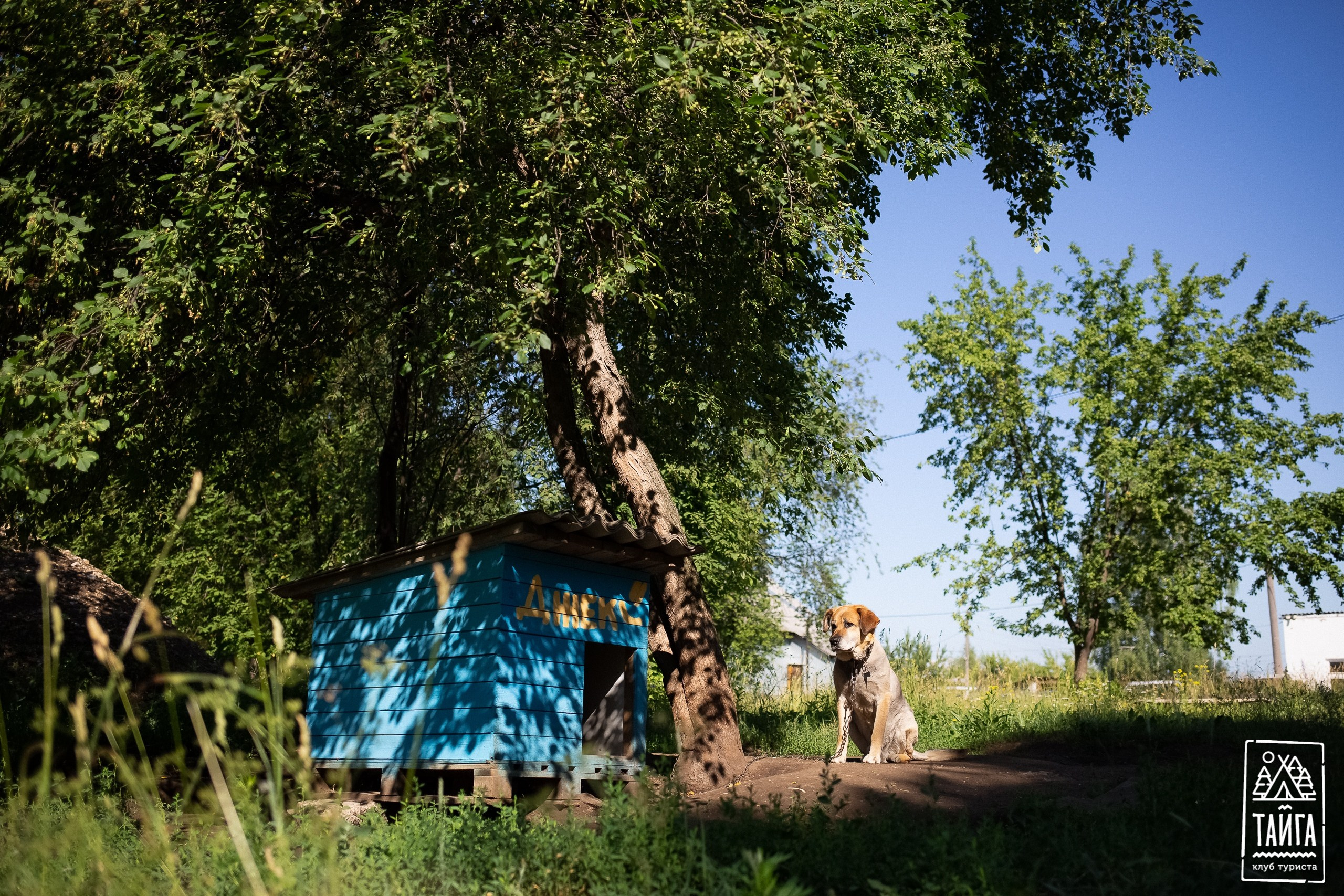 Кунгур. Репортажный фотограф г. Екатеринбург Алексей Обоскалов