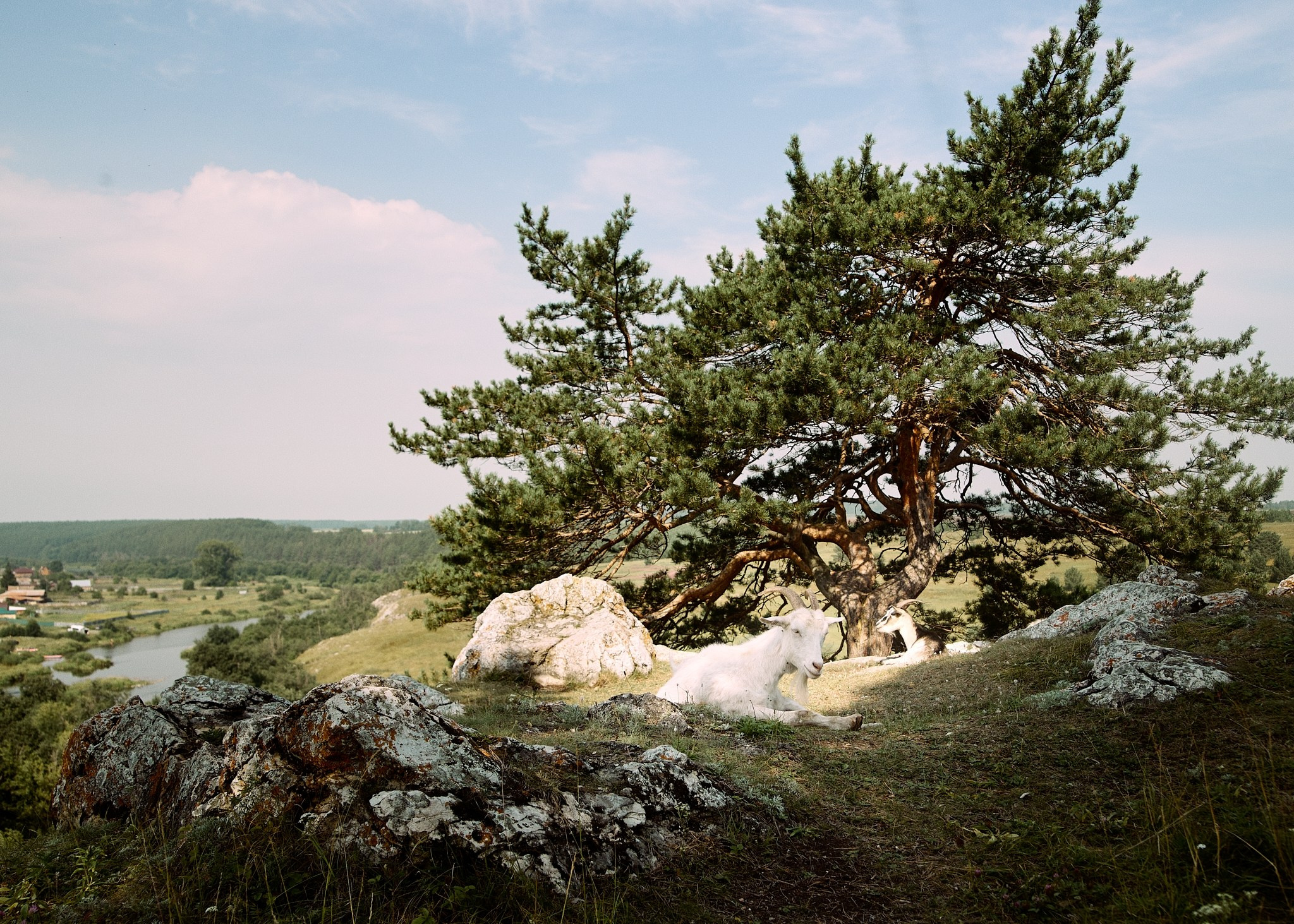 РЕЖ. Репортажный фотограф г. Екатеринбург Алексей Обоскалов