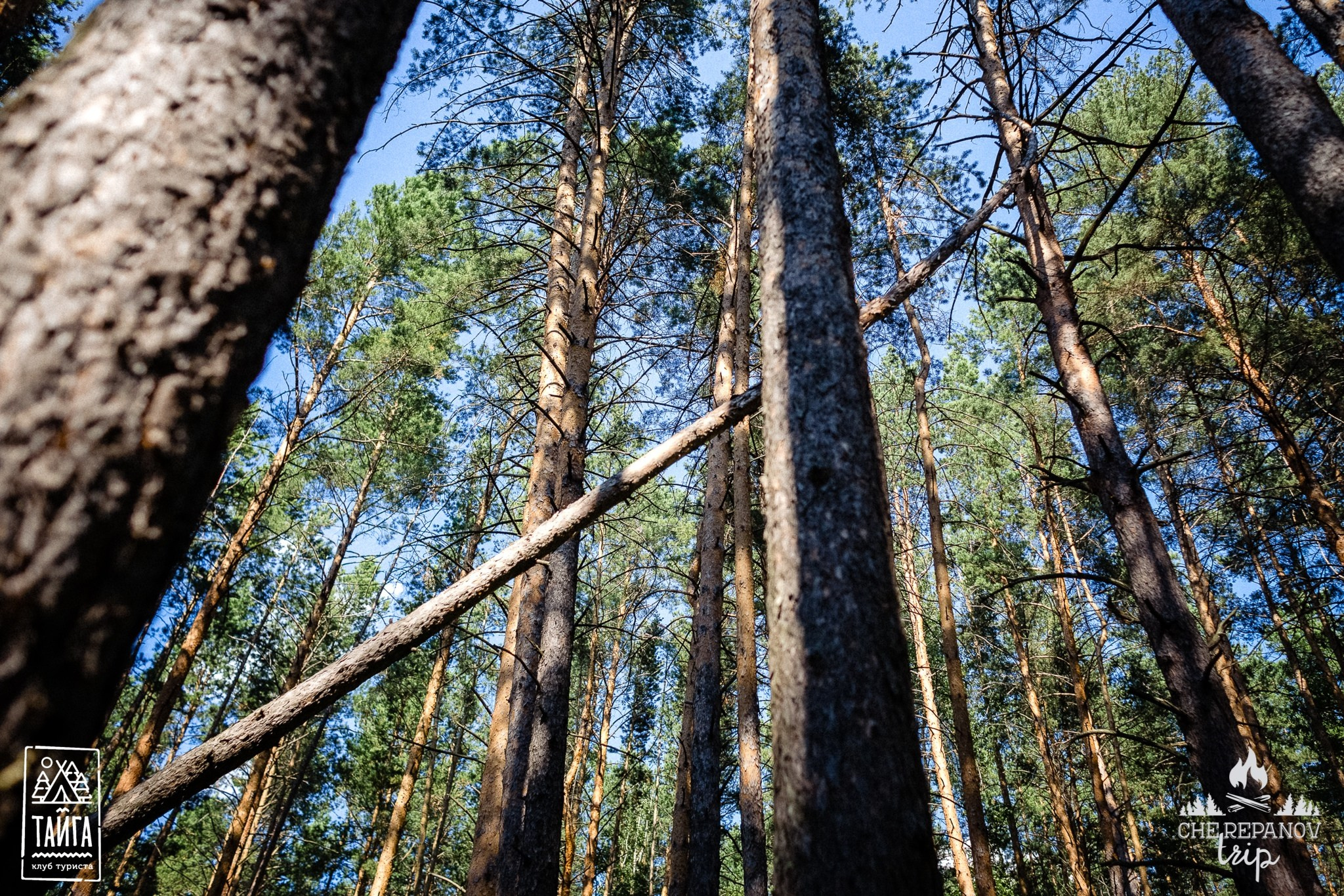 Выживание в ТАЙГЕ. Репортажный фотограф г. Екатеринбург Алексей Обоскалов