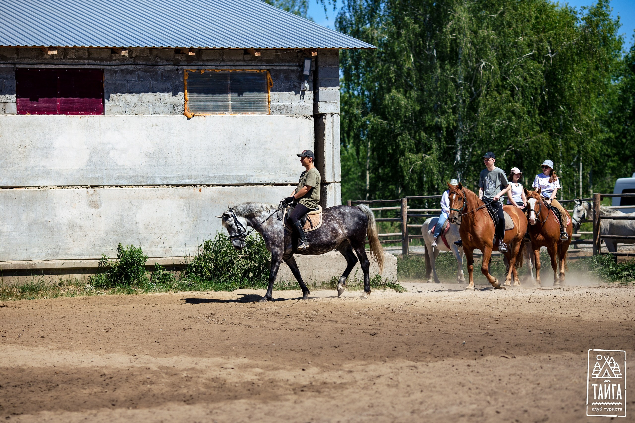 Конная прогулка. Репортажный фотограф г. Екатеринбург Алексей Обоскалов