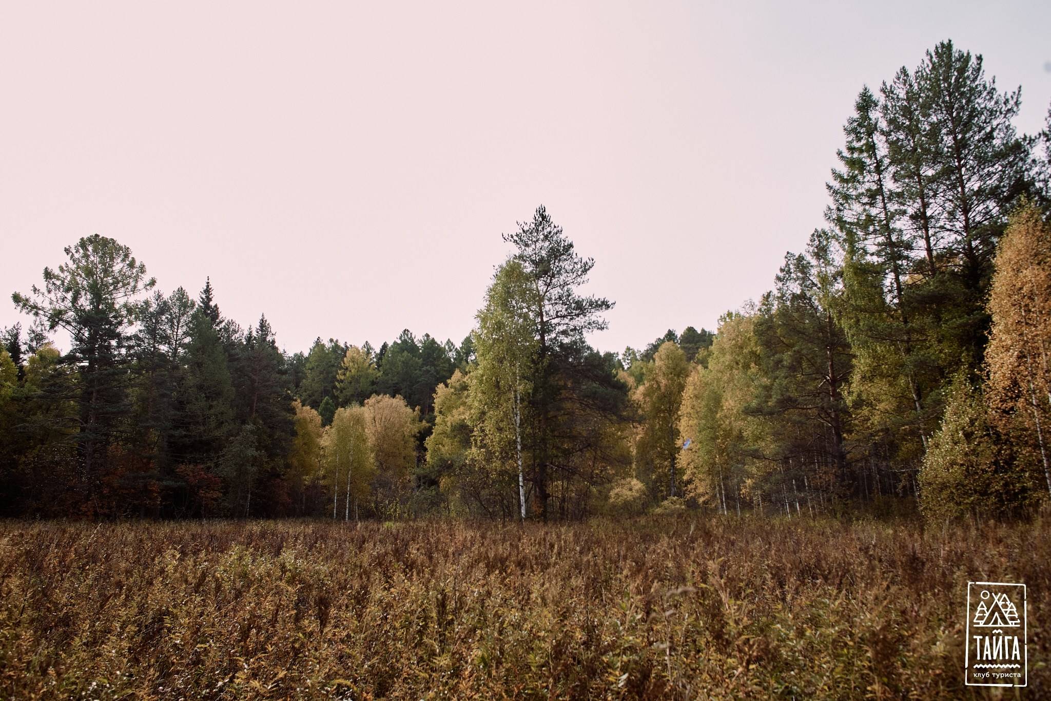 Оленьи ручьи № 2. Репортажный фотограф г. Екатеринбург Алексей Обоскалов