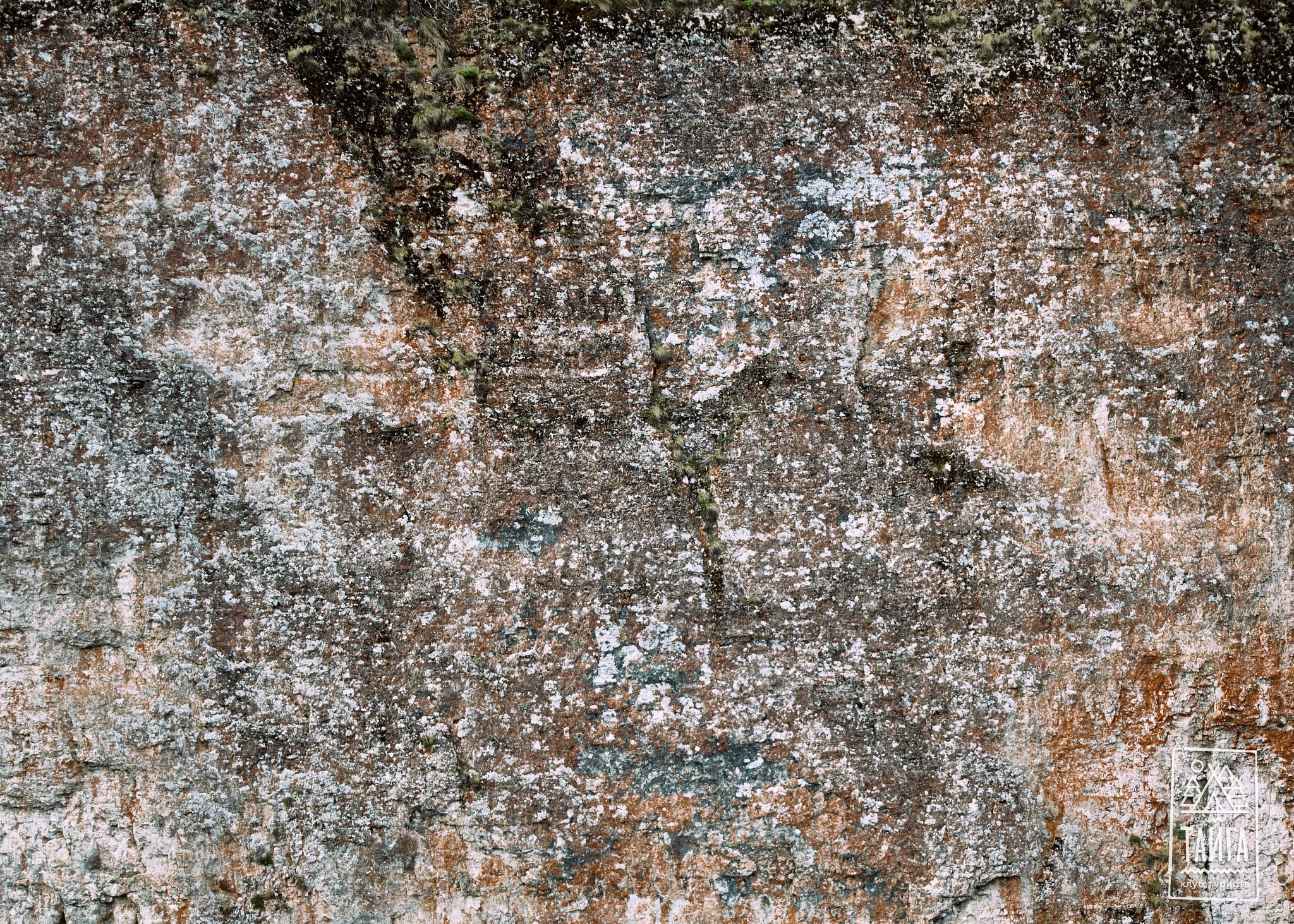 Вишера сплав. Репортажный фотограф г. Екатеринбург Алексей Обоскалов