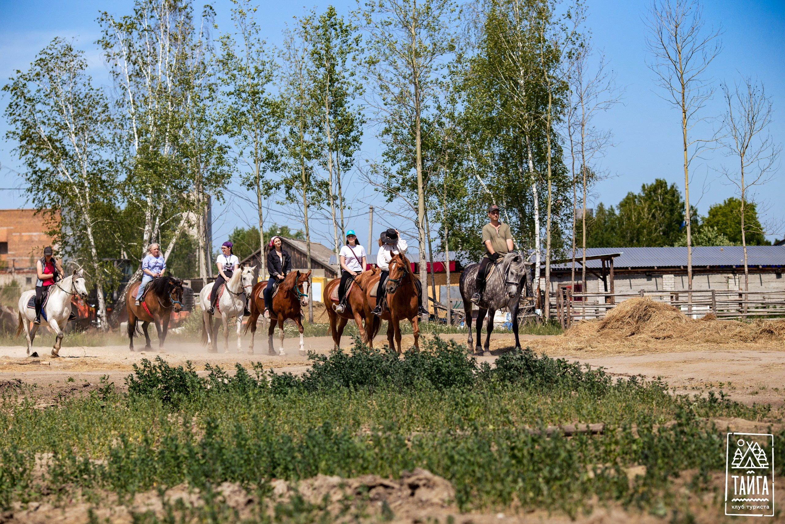 Конная прогулка. Репортажный фотограф г. Екатеринбург Алексей Обоскалов