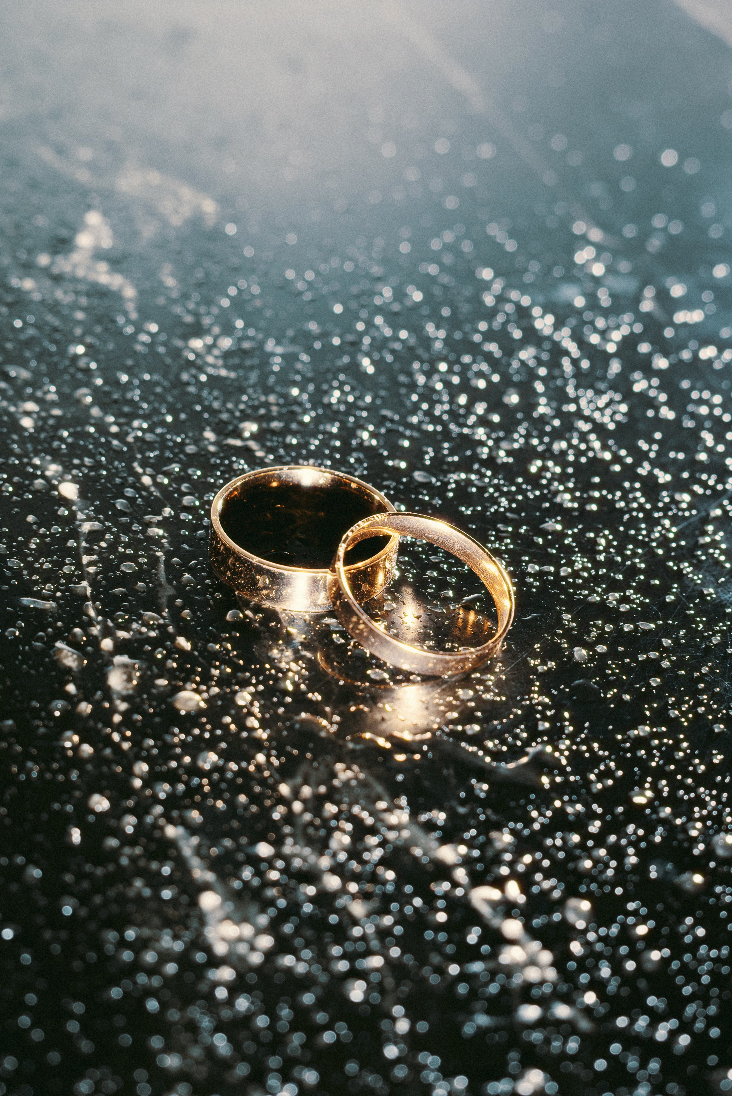 Свадьба Елизавета&Матвей