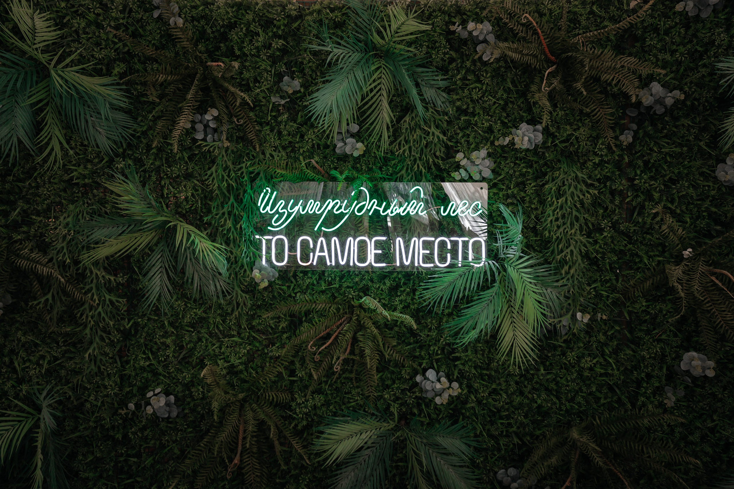 Игорь и Виктория. Максим Кокин — Свадебный Фотограф | Ростов-на-дону | Москва