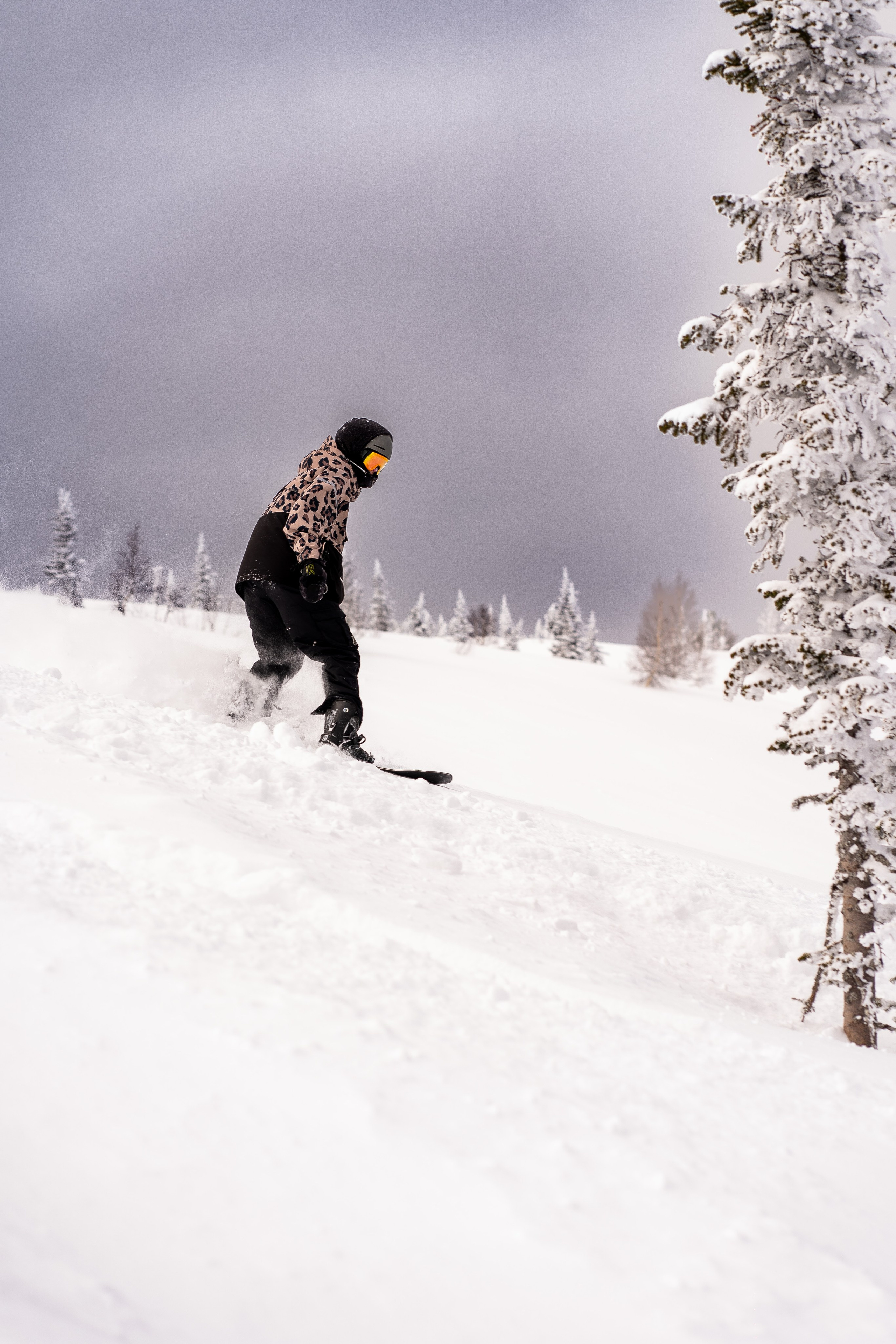 Фрирайд. Анастасия Паршукова — фотограф Шерегеш Новосибирск