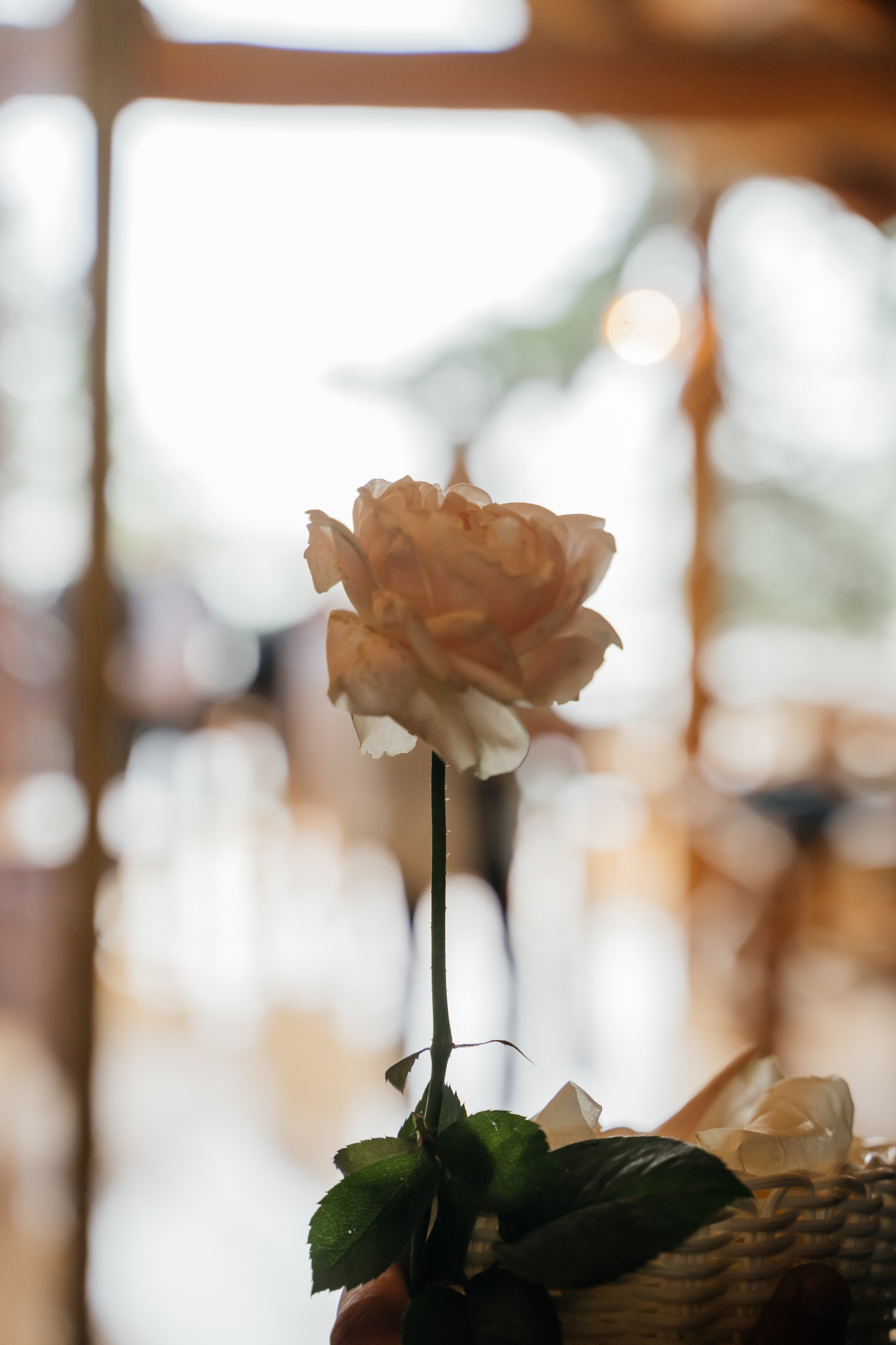 Свадебная история. Свадебный фотограф Амина Хомович