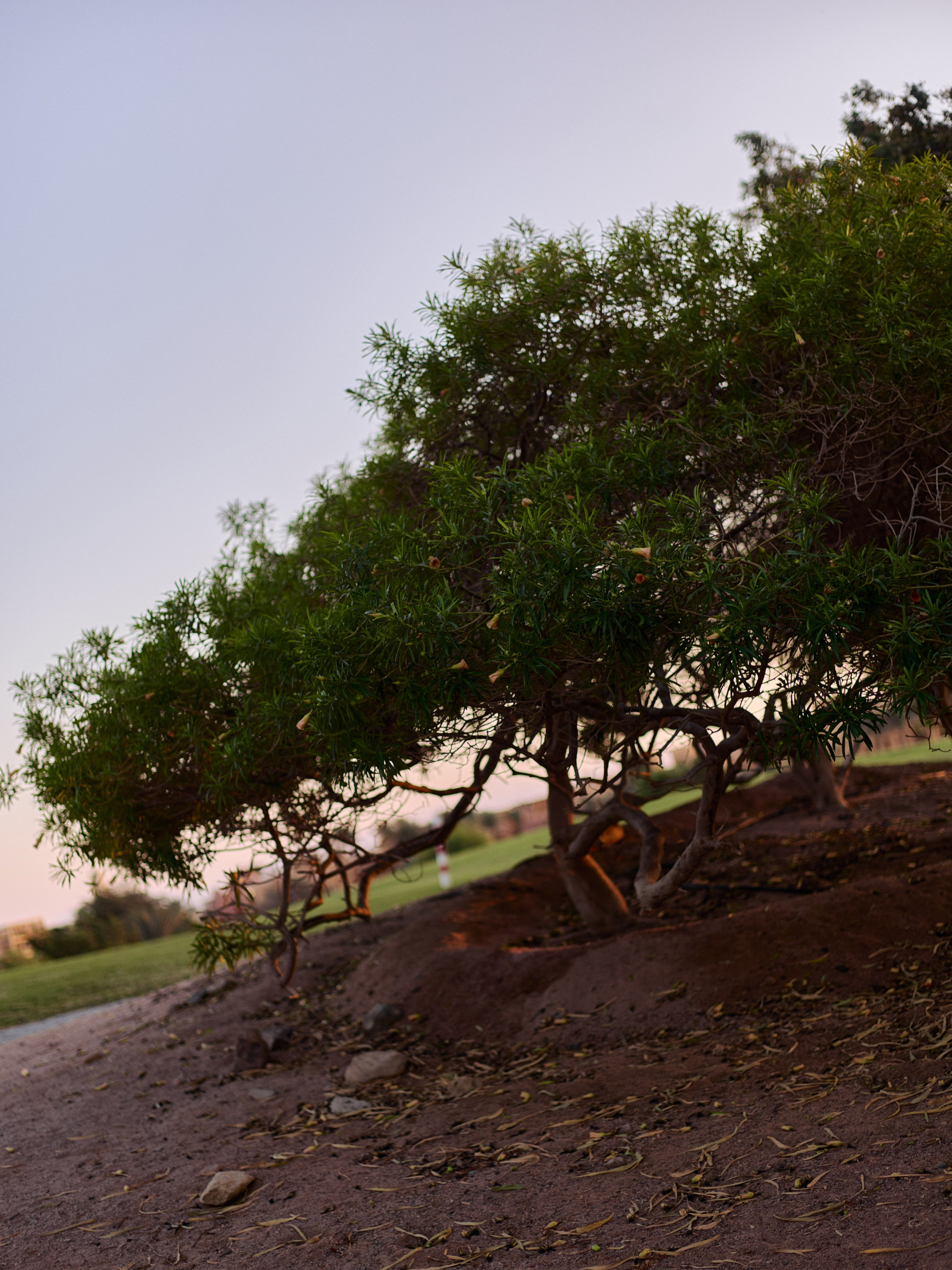 Другое 3. Jorgis — фотограф в Хургаде / обучение фотографии