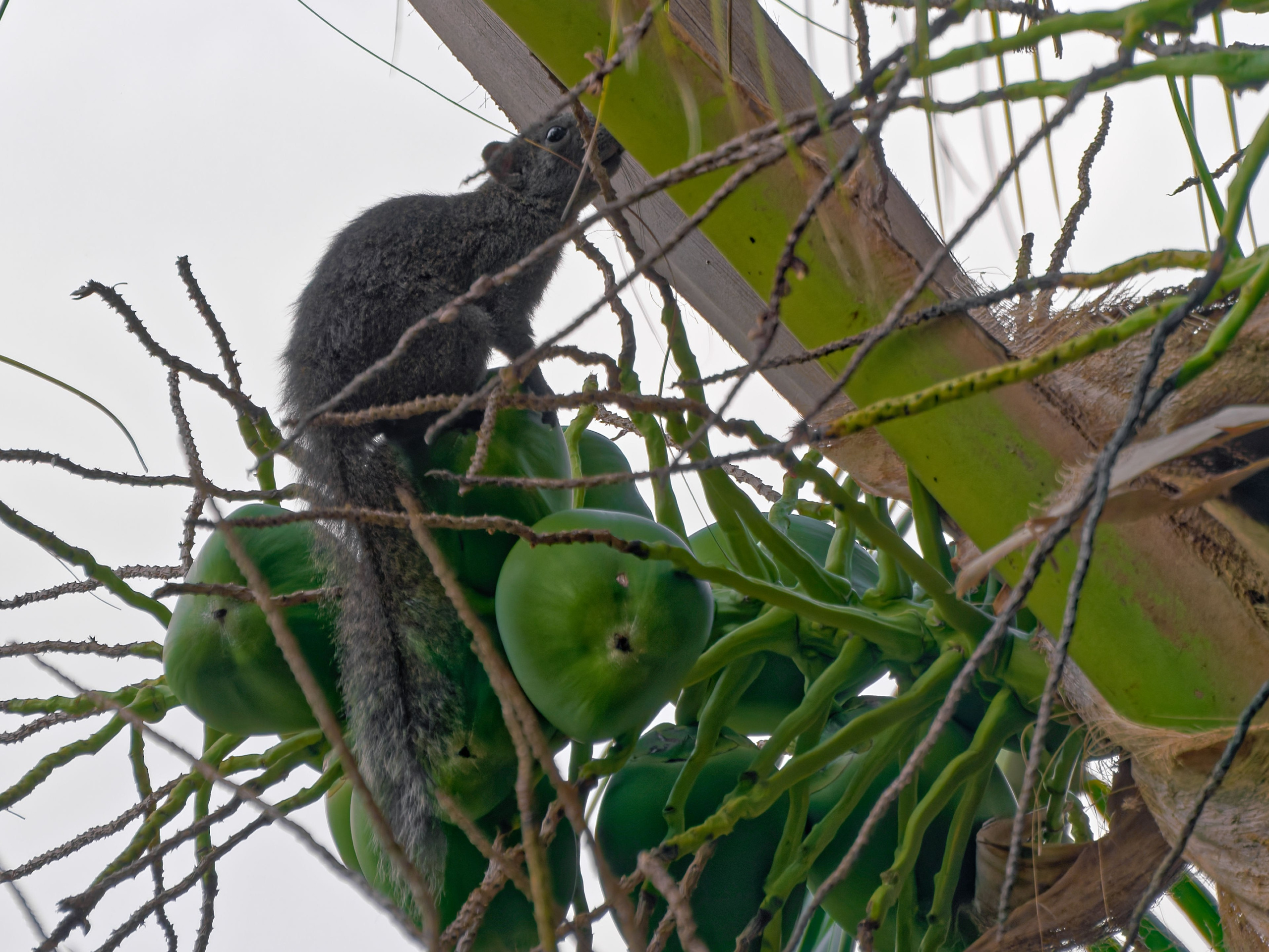 Хайнань 2026, отель «Stony Brook Villa Jianguo Resort Sanya 4*». Фотопрогулки по Миру