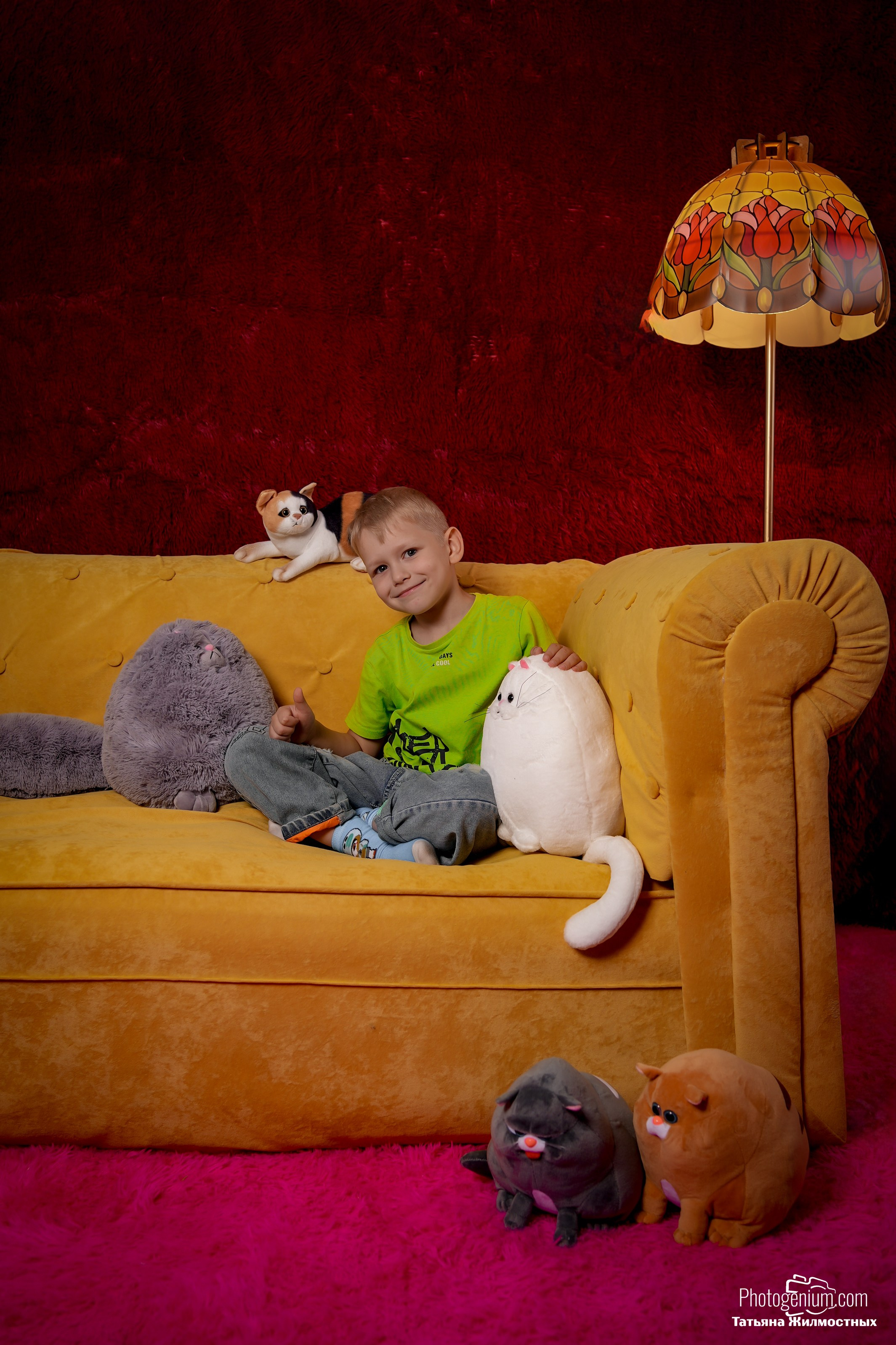 Студийная съемка Котики. Фотограф Нижний Новгород Татьяна Кэйод