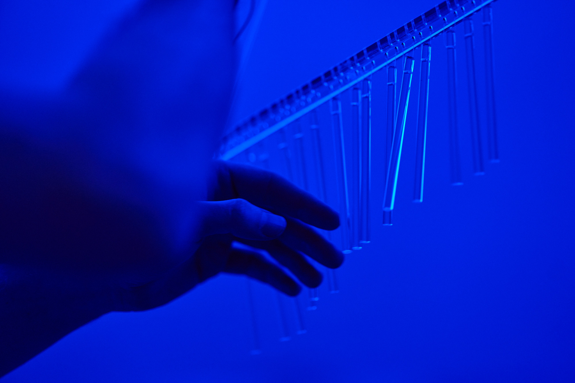 ОМ Чатинг. Фотограф Мещанин Юрий