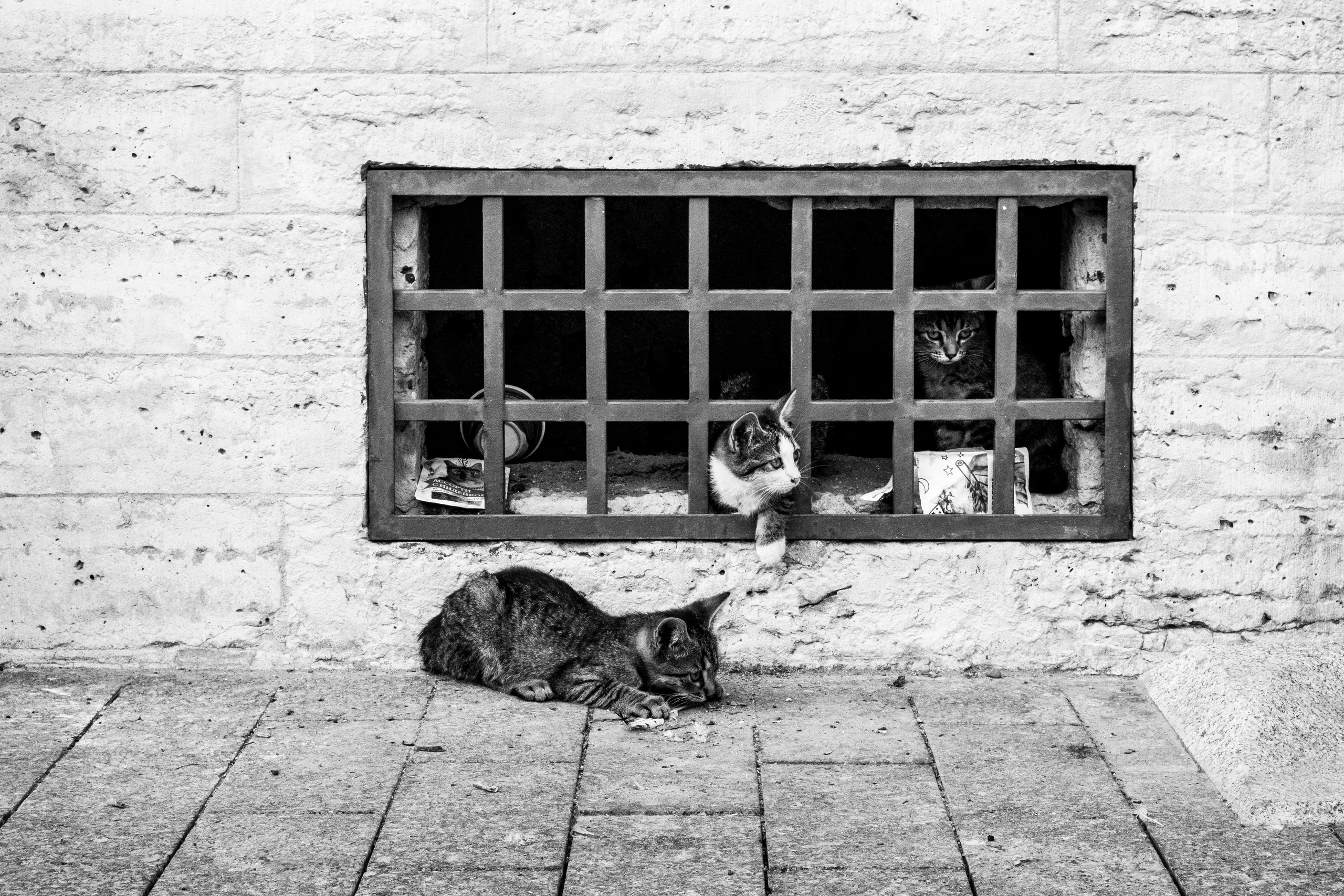 Окна. Портретный и архитектурный фотограф в Москве и Санкт-Петербурге