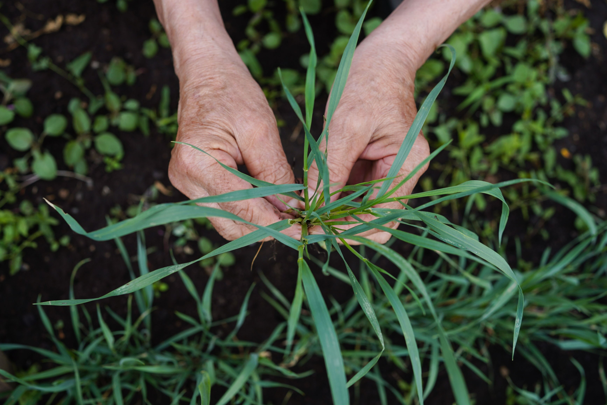 1 квадратный метр земли. Margarita Khatmullina