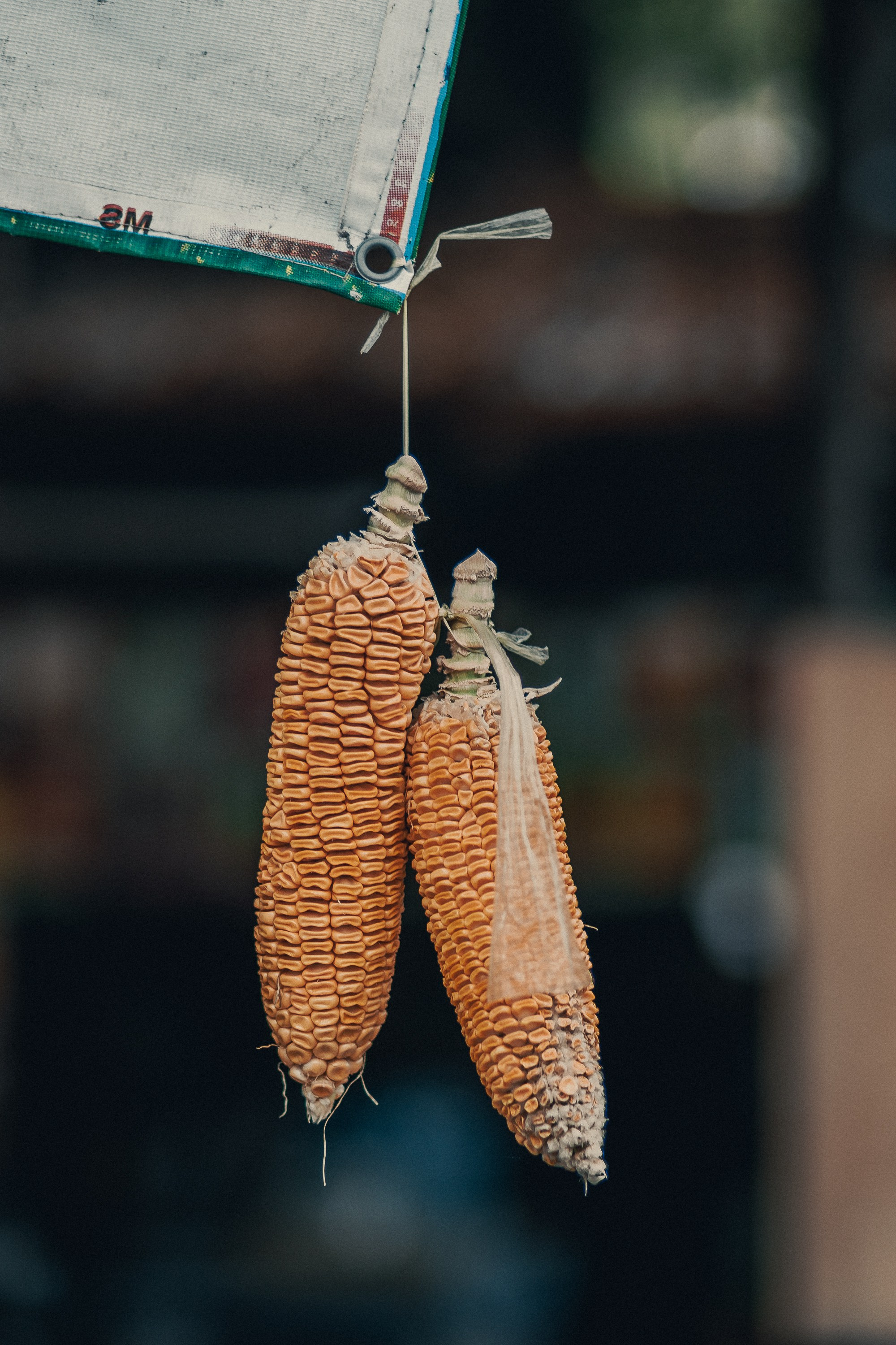 Таиланд. Фотошкола ArtFotoLife для начинающих и продвинутых фотографов