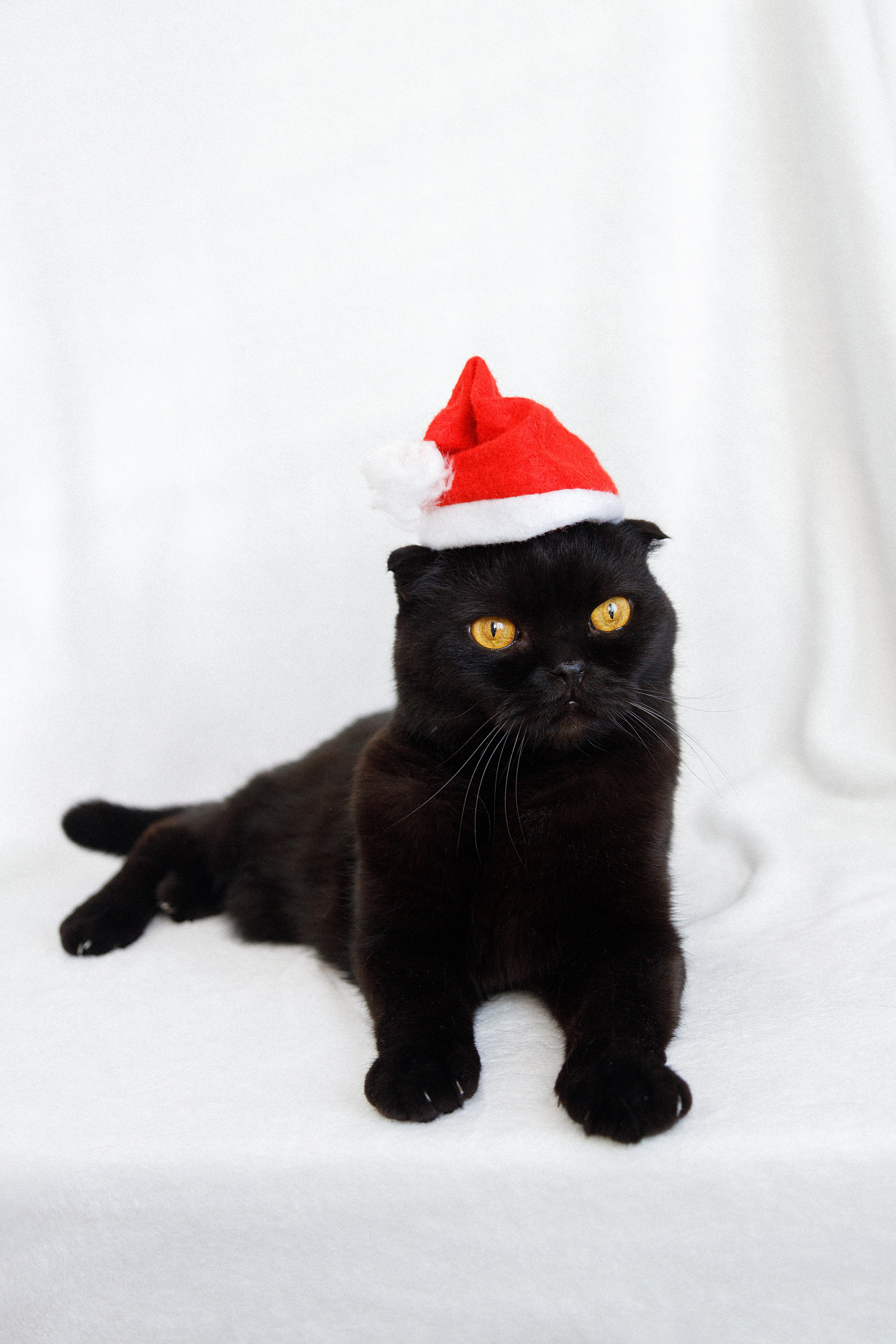 Проект «366»|2024|Фото каждый день. LENA GRACE photographer ||ЛЕНА ГРЭЙС фотограф