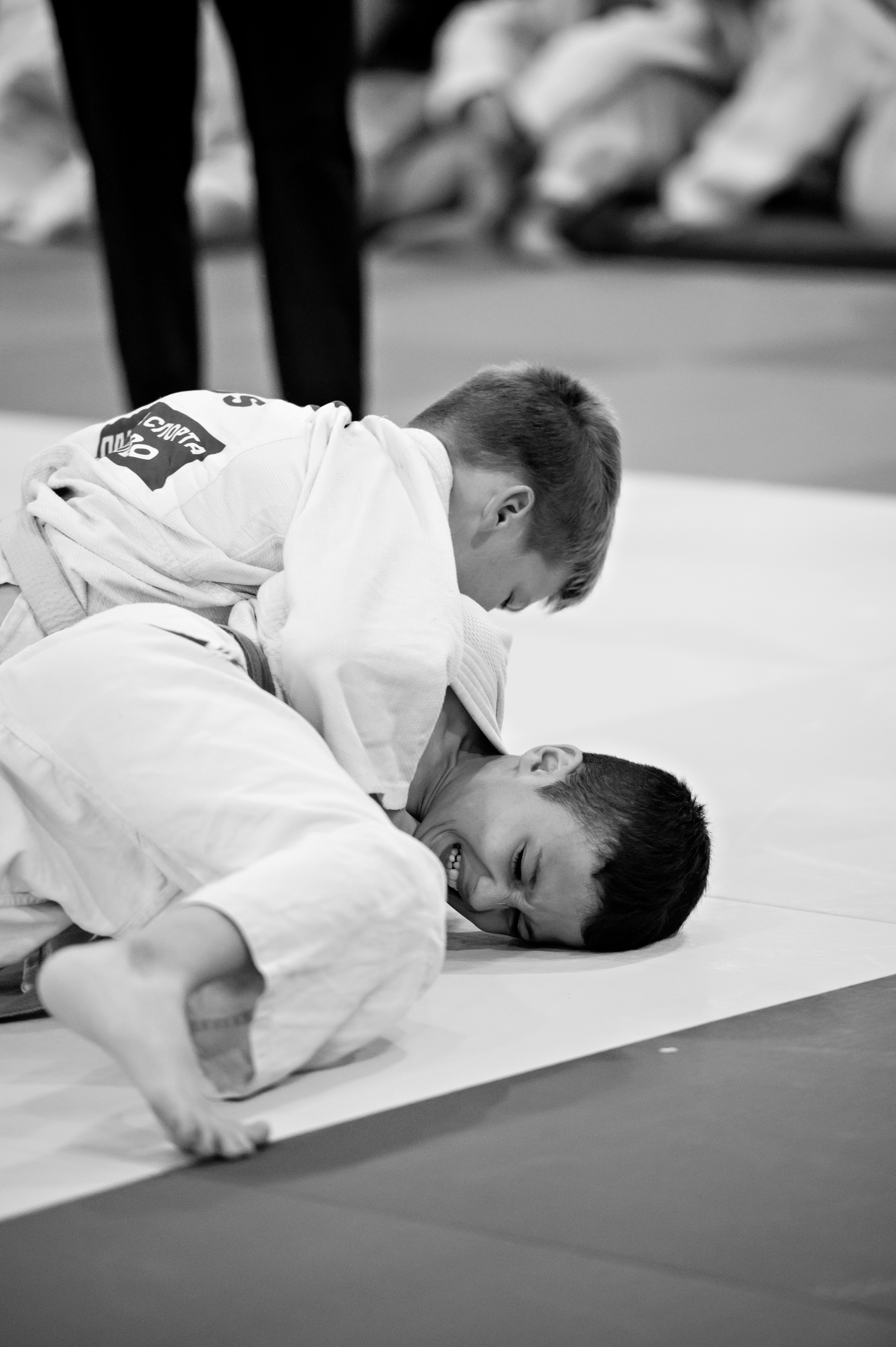 Дзюдо. СК «Тульский Левша» сентябрь 2023. Спортивный фотограф в Туле и Тульской области. Файсханова Фото Спорт