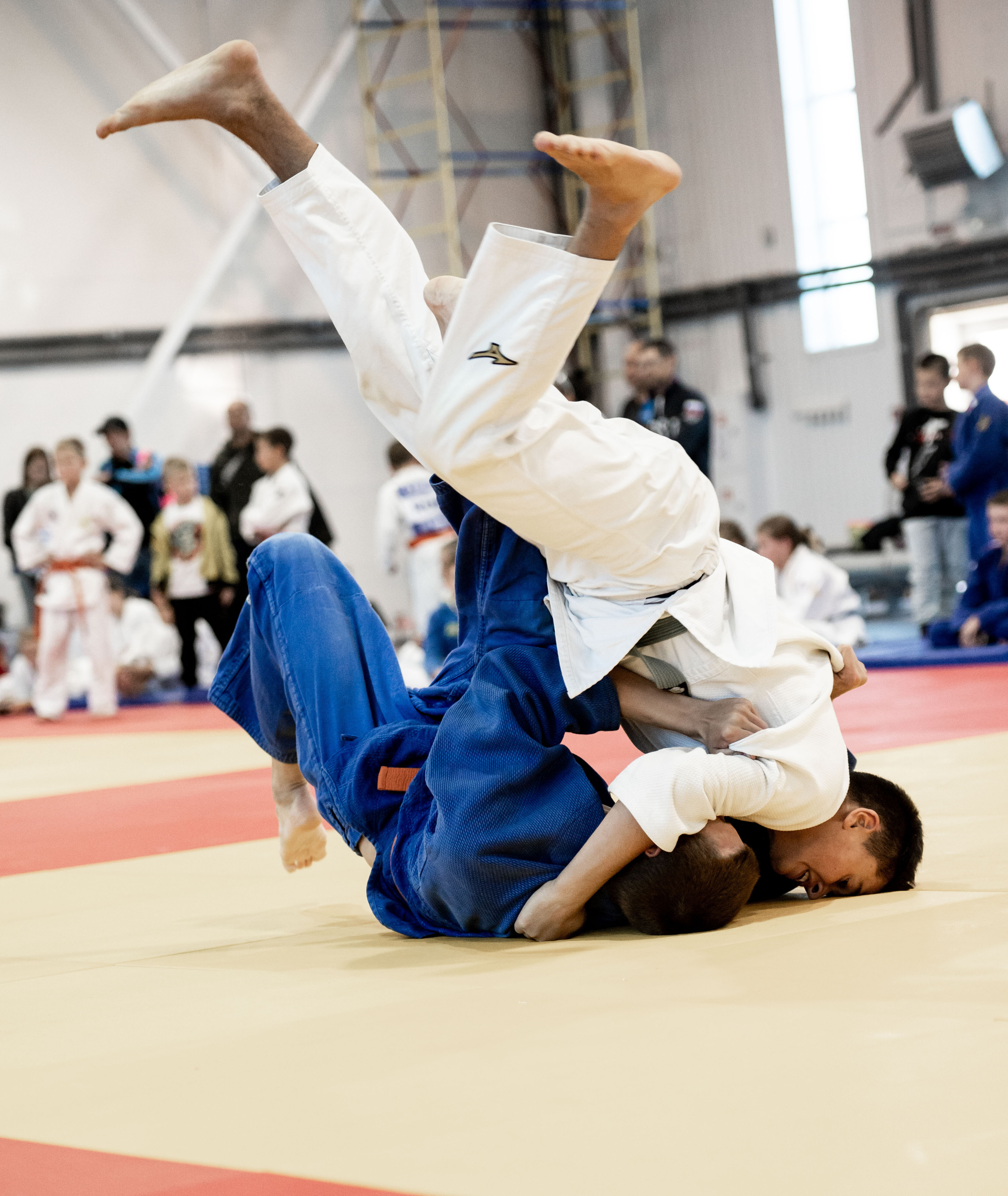 Дзюдо. СК «Тульский Левша» сентябрь 2023. Спортивный фотограф в Туле и Тульской области. Файсханова Фото Спорт