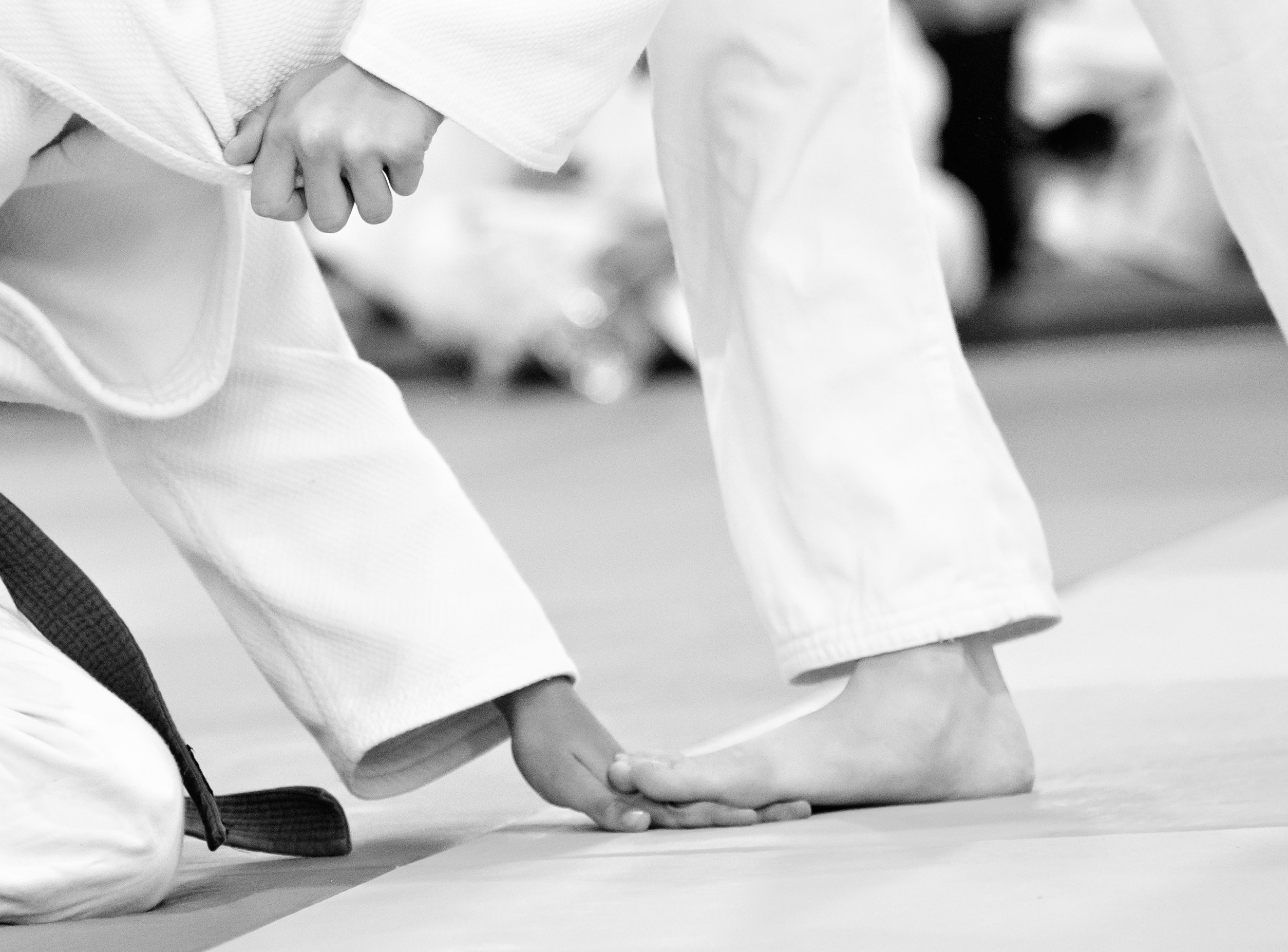 Дзюдо. СК «Тульский Левша» сентябрь 2023. Спортивный фотограф в Туле и Тульской области. Файсханова Фото Спорт