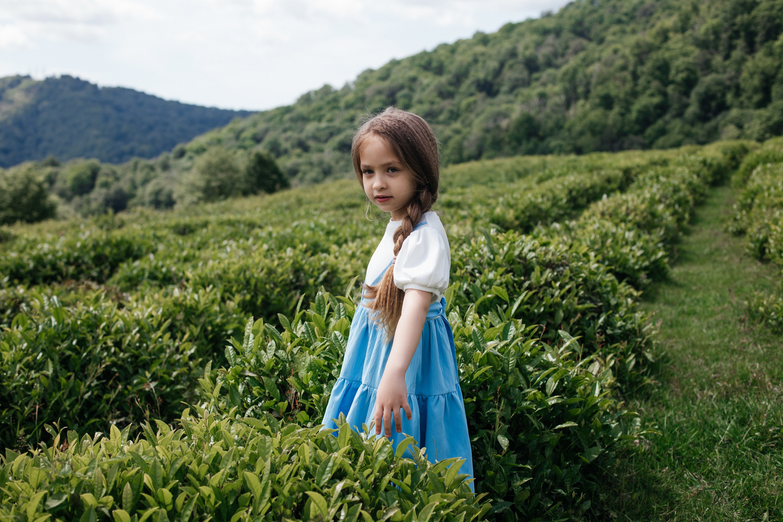Tea plantation. Efimova Model Agency