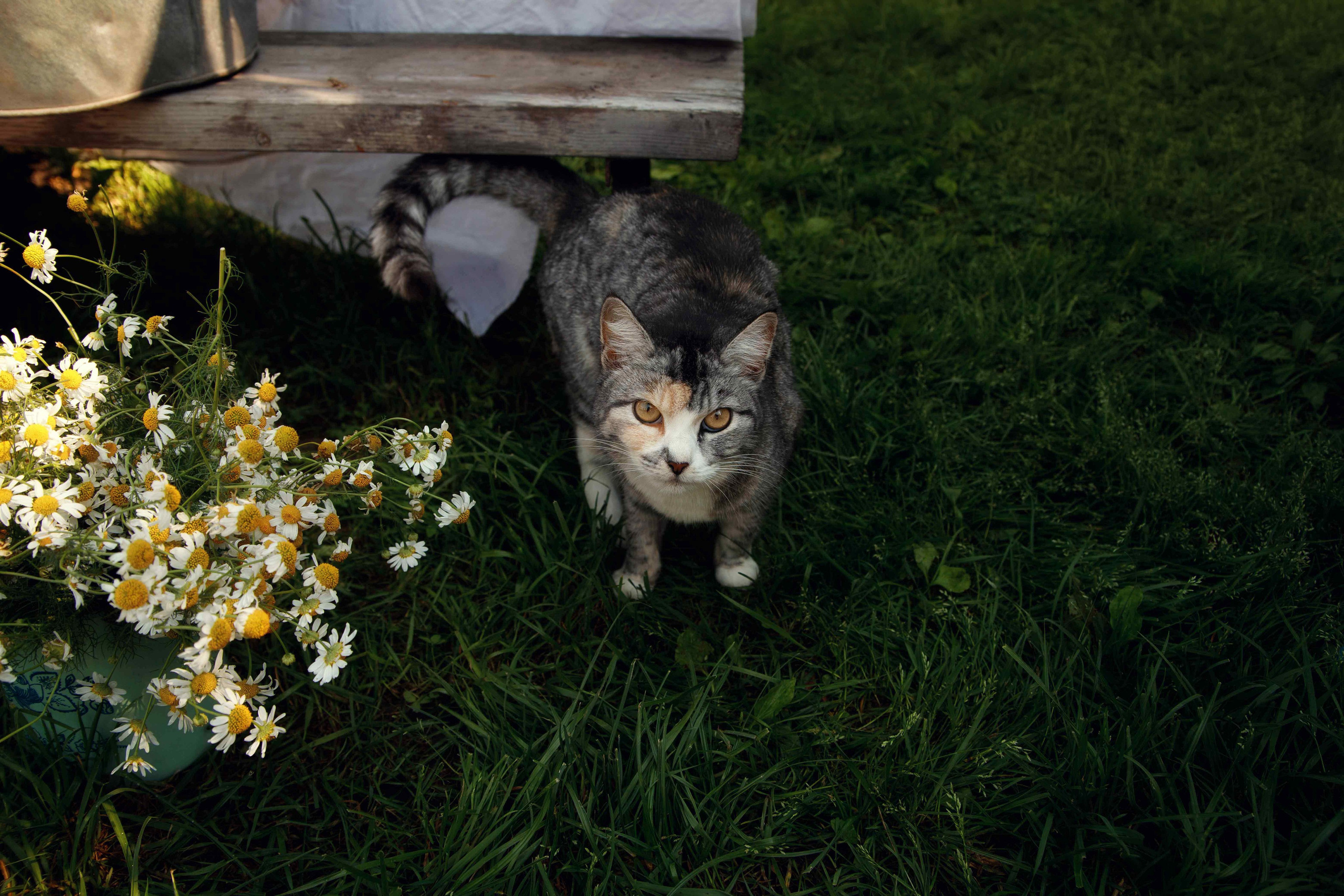 Детская фотосессия. Семейный, свадебный и детский фотограф в Новосибирске Ольга Хидченко