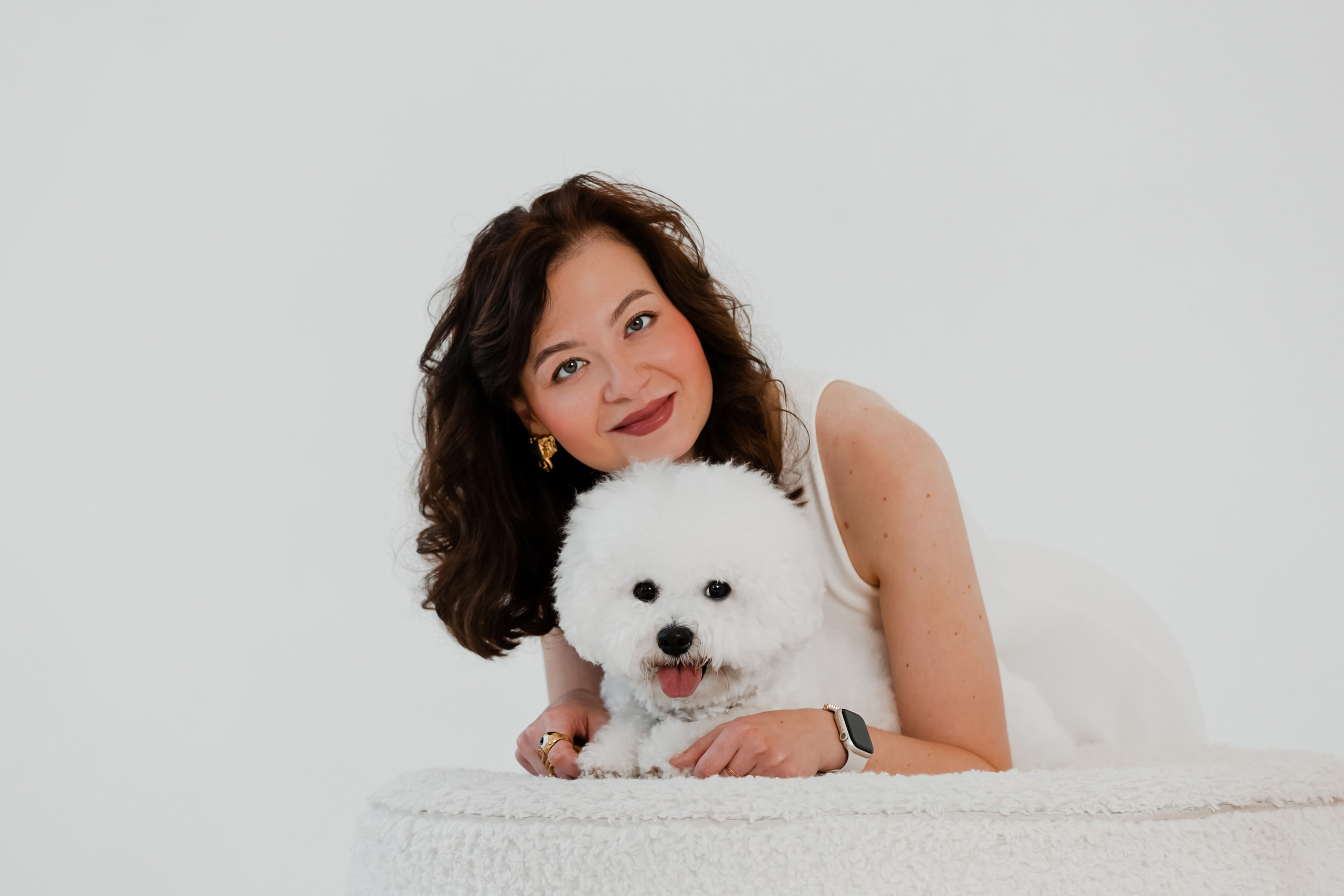 Бишон-фризе. Фотограф-анималист в Краснодаре Маша Мельникова