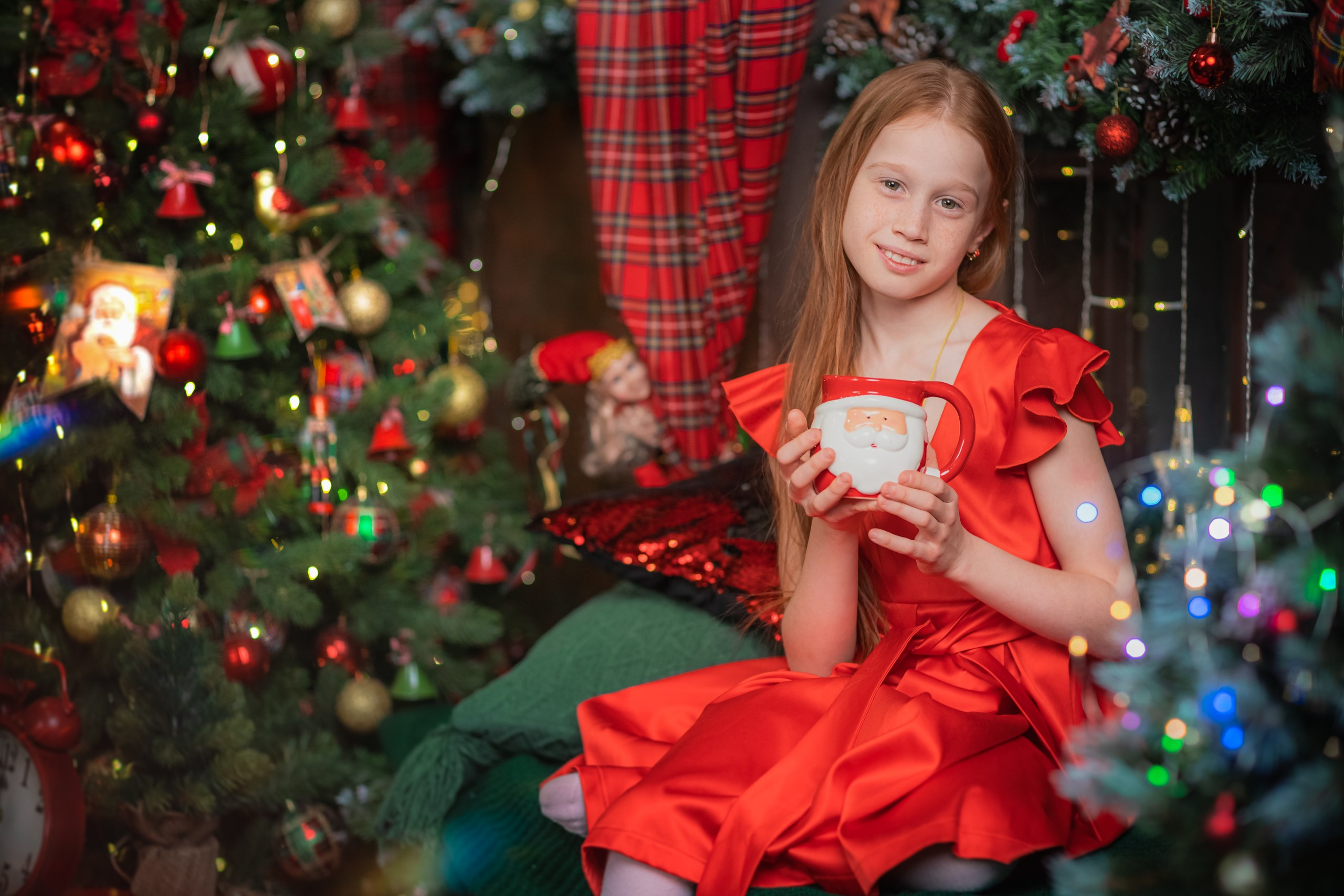 НГ ПФ Леонардо