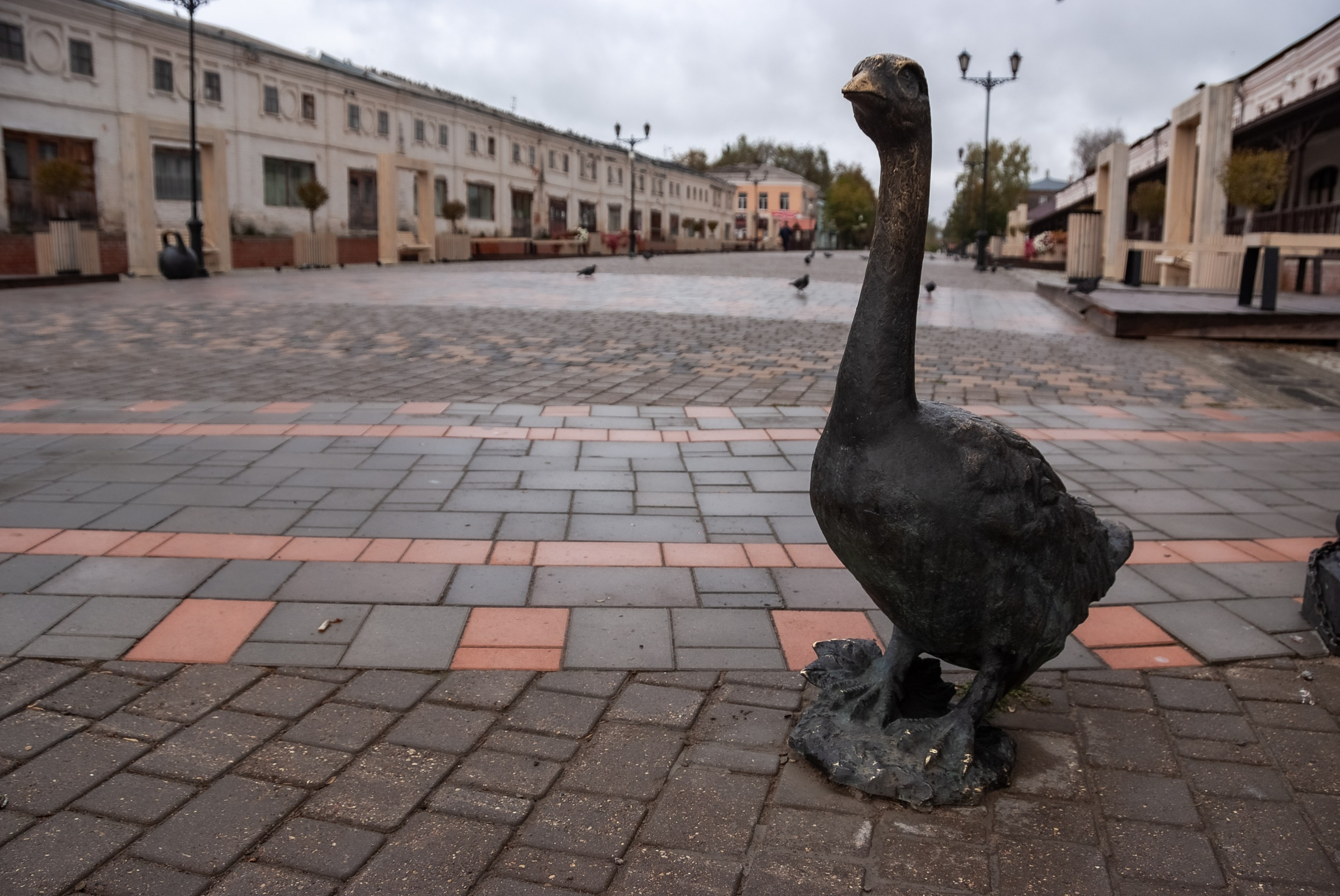 Юрьев-Польский. Памятник гусю.