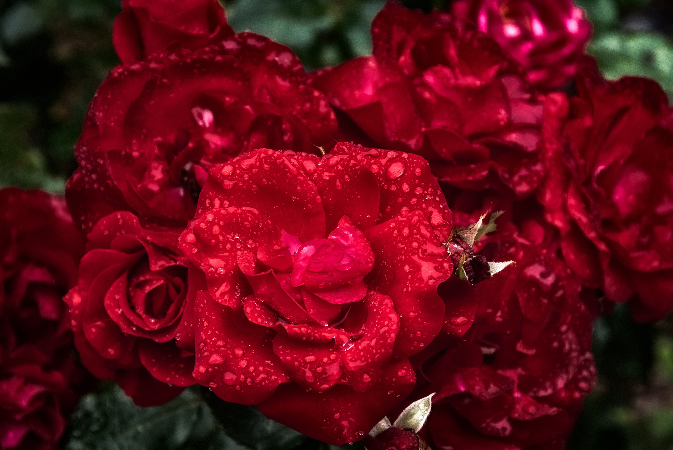 Путешествие по городам Золотого кольца во Владимирской области. Юрьев-Польский. Пейзажный фотограф Сергей Пестерев. Фото природы