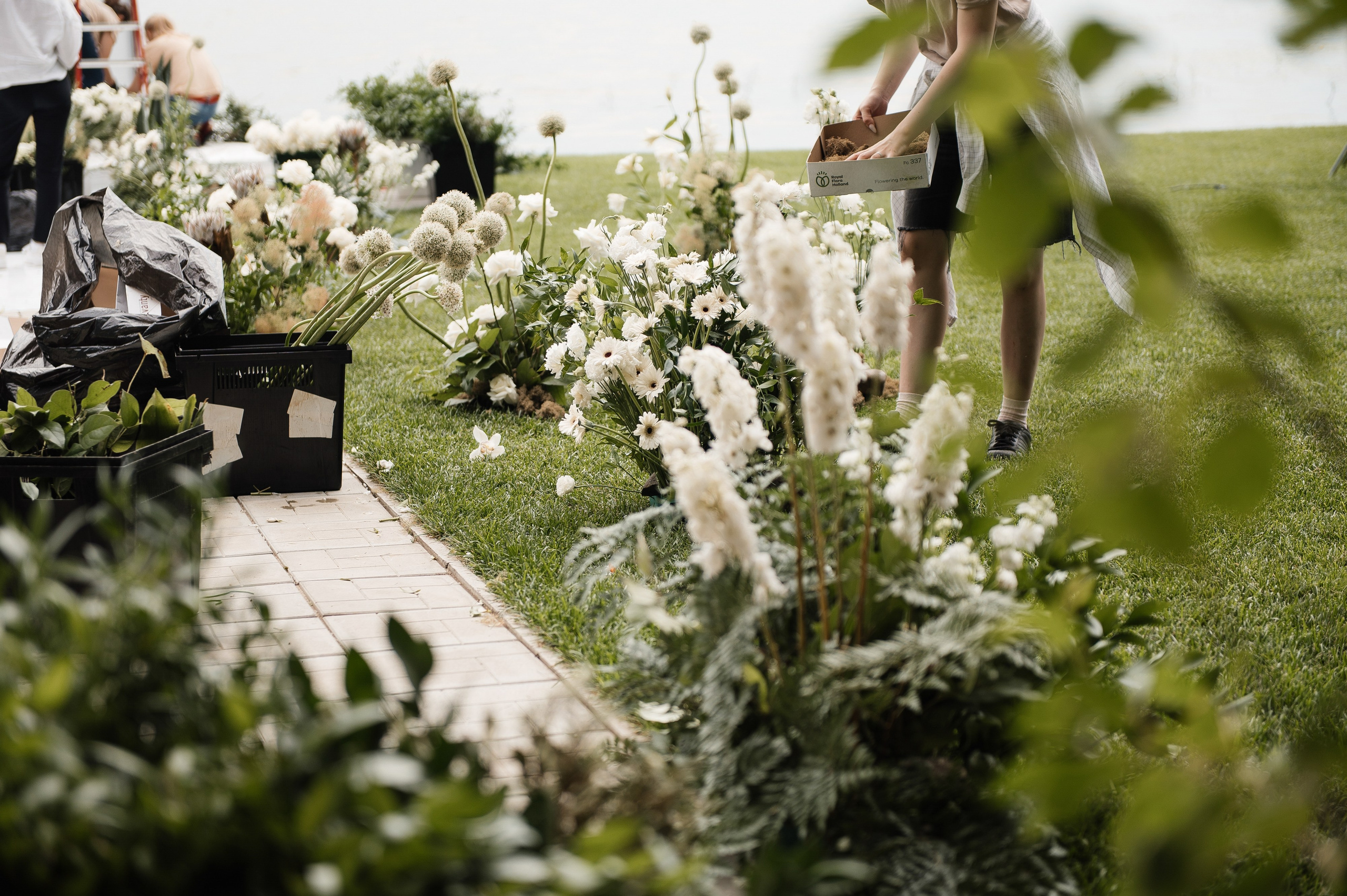 Просто такая стильная любовь. Свадебный фотограф Саша Базенко