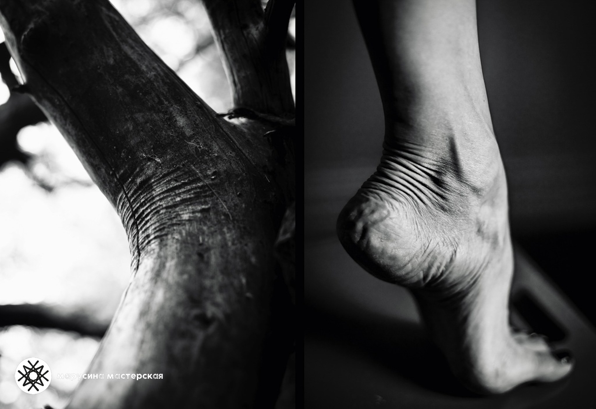 Алина Санду