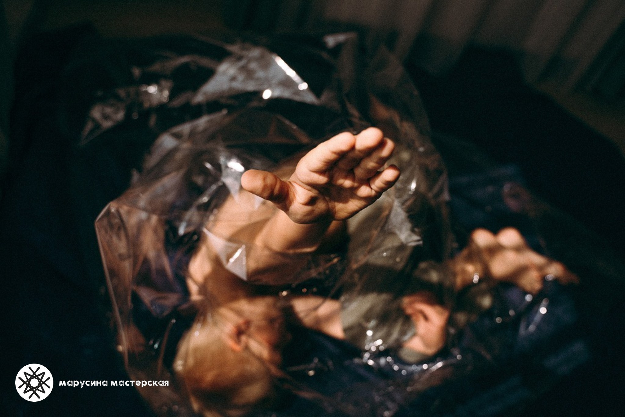 Светлана Зборовская