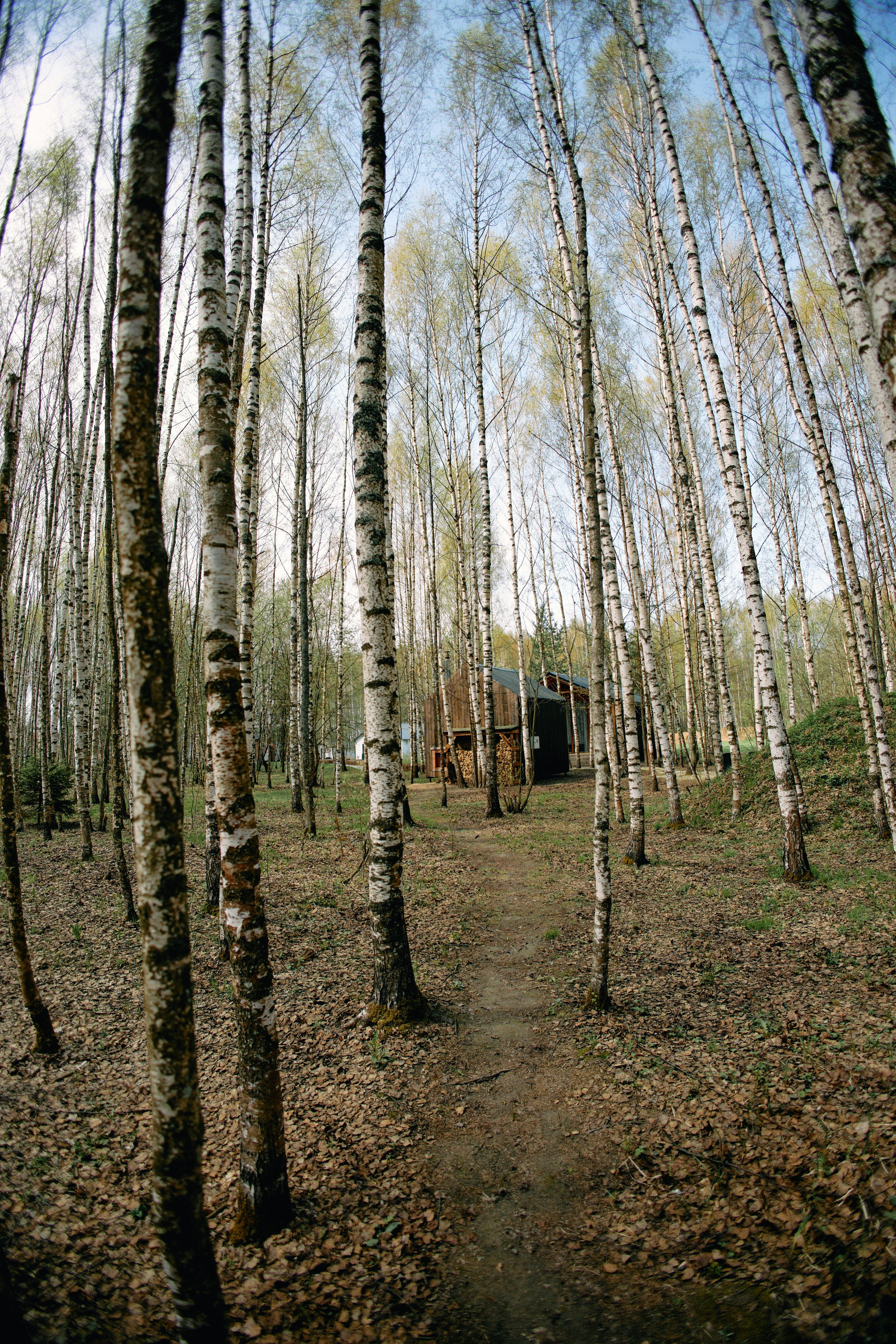 Бутик-отель Поле летом. Профессиональный Фотограф во Владимире, в Москве и в Суздале — Полина Романычева