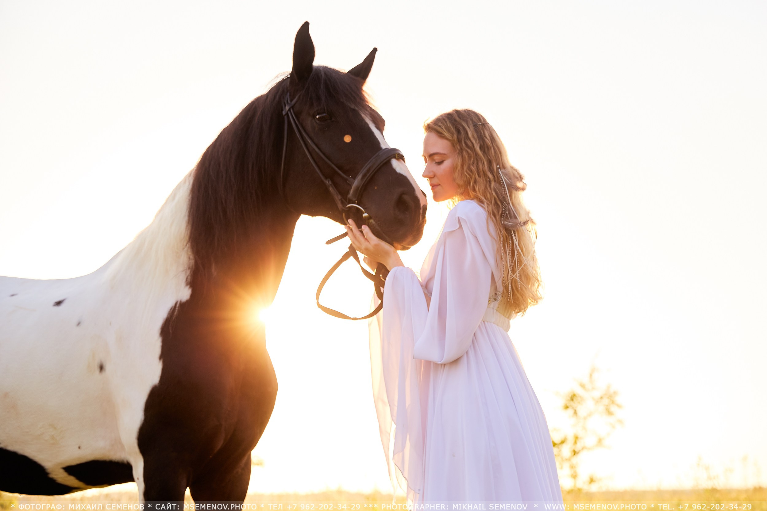 Фотосессия с лошадьми в г. Ярославль. Фотограф Михаил Семенов