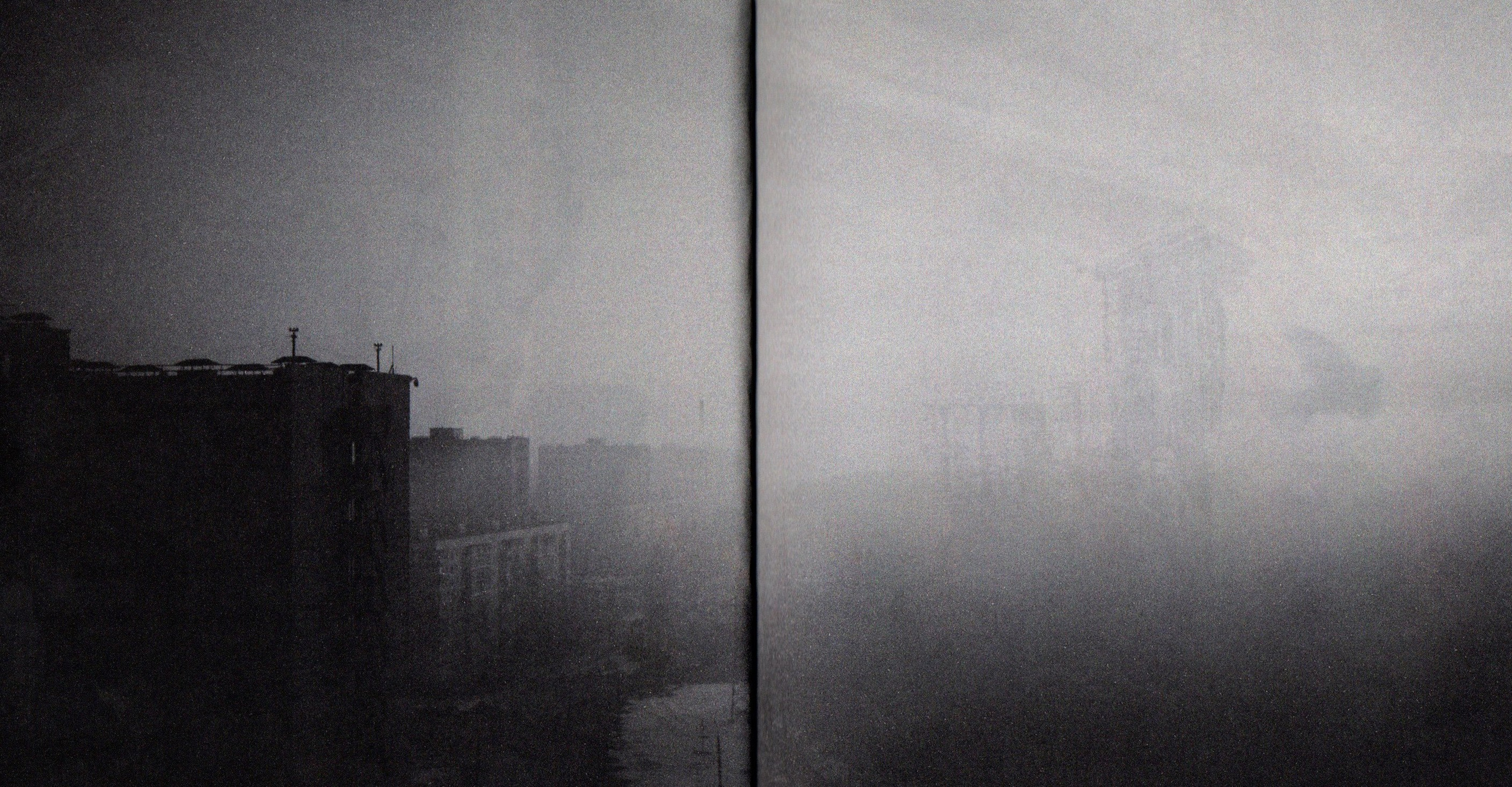 Деревья, которые дают сил. Фотограф Анна Кирнос