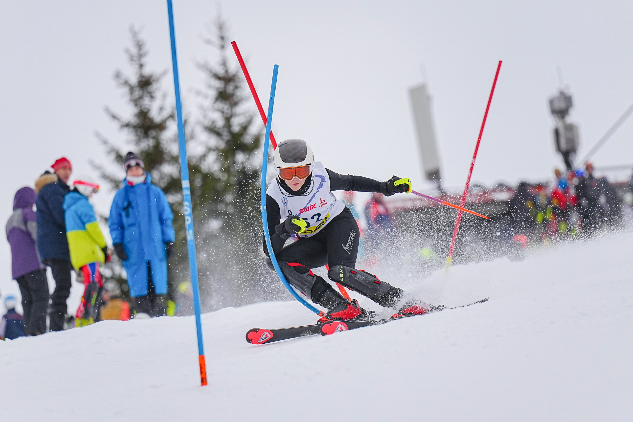 SL (Slalom) - Слалом. Соревнования по горнолыжному спорту. Московская область, Шуколово